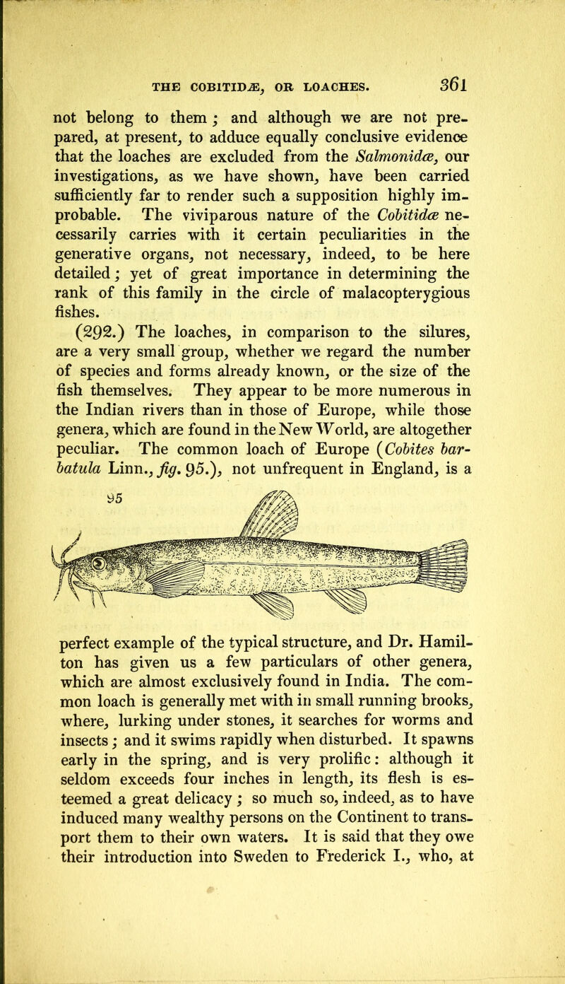 not belong to them ; and although we are not pre- pared, at present, to adduce equally conclusive evidence that the loaches are excluded from the SalmonidcB, our investigations, as we have shown, have been carried sufficiently far to render such a supposition highly im- probable. The viviparous nature of the Cohitidce ne- cessarily carries with it certain peculiarities in the generative organs, not necessary, indeed, to be here detailed; yet of great importance in determining the rank of this family in the circle of malacopterygious fishes. (292.) The loaches, in comparison to the silures, are a very small group, whether we regard the number of species and forms already known, or the size of the fish themselves. They appear to be more numerous in the Indian rivers than in those of Europe, while those genera, which are found in the New World, are altogether peculiar. The common loach of Europe (^Cobites har- hatula Linn., fig. ^5.), not unfrequent in England, is a perfect example of the typical structure, and Dr. Hamil- ton has given us a few particulars of other genera, which are almost exclusively found in India. The com- mon loach is generally met with in small running brooks, where, lurking under stones, it searches for worms and insects; and it swims rapidly when disturbed. It spawns early in the spring, and is very prolific: although it seldom exceeds four inches in length, its fiesh is es- teemed a great delicacy ; so much so, indeed, as to have induced many wealthy persons on the Continent to trans- port them to their own waters. It is said that they owe their introduction into Sweden to Frederick I., who, at