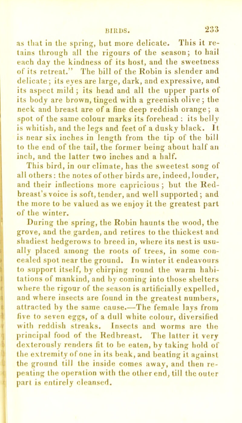 as that in the spring, but more delicate. This it re- tains through all the rigours of the season; to hail each day the kindness of its host, and the sweetness of its retreat.” The bill of the Robin is slender and delicate; its eyes are large, dark, and expressive, and its aspect mild; its head and all the upper parts of its body are brown, tinged with a greenish olive ; the neck and breast are of a fine deep reddish orange; a spot of the same colour marks its forehead : its belly is whitish, and the legs and feet of a dusky black. It is near six inches in length from the tip of the bill to tbe end of the tail, the former being about half an inch, and tbe latter two inches and a half. This bird, in our climate, has the sweetest song of all others: the notes of other birds are, indeed, louder, and their inflections more capricious ; but tbe Red- breast’s voice is soft, tender, and well supported; and the more to be valued as we enjoy it the greatest part of the winter. During the spring, the Robin haunts tbe wood, the grove, and the garden, and retires to the thickest and shadiest hedgerows to breed in, where its nestis usu- ally placed among the roots of trees, in some con- cealed spot near the ground. In winter it endeavours to support itself, by chirping round the warm habi- tations of mankind, and by coming into those shelters where the rigour of the season is artificially expelled, and where insects are found in the greatest numbers, attracted by the same cause.—The female lays from five to seven eggs, of a dull white colour, diversified with reddish streaks. Insects and worms are the principal food of the Redbreast. Tbe latter it very dexterously renders fit. to be eaten, by taking hold of the extremity of one in its beak, and beating it against tbe ground till tbe inside comes away, and then re- peating the operation with the other end, till tbe outer part is entirely cleansed.