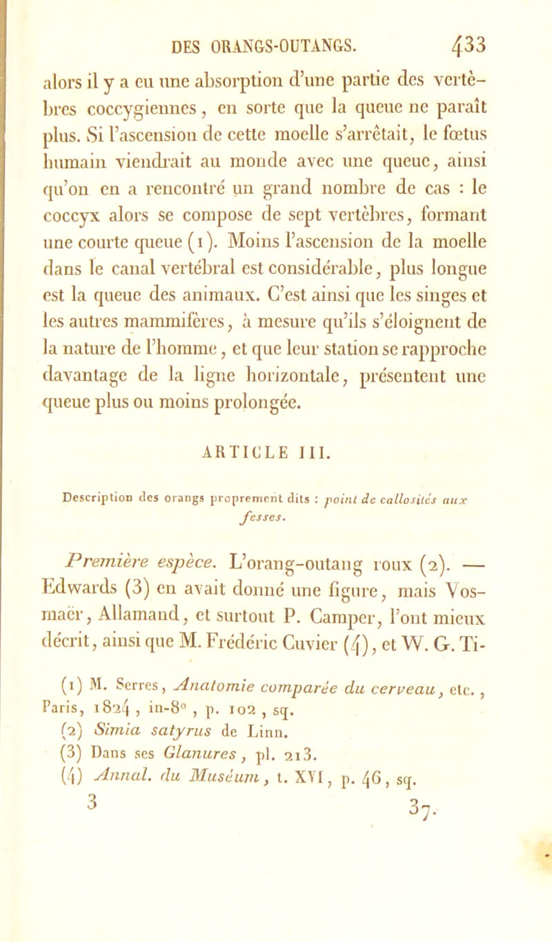 alors il y a eu une absorption d’une partie des vertè- bres coccygiennes, en sorte que la queue ne paraît plus. Si l’ascension de cette moelle s’arrêtait, le fœtus humain viendrait au monde avec une queue, ainsi qu’on en a rencontré un grand nombre de cas : le coccyx alors se compose de sept vertèbres, formant une courte queue ( 1 ). Moins l’ascension de la moelle dans le canal vertébral est considérable, plus longue est la queue des animaux. C’est ainsi que les singes et les autres mammifères, à mesure qu’ils s’éloignent de la nature de l’homme, et que leur station se rapproche davantage de la ligne horizontale, présentent une queue plus ou moins prolongée. ARTICLE III. Description des orangs proprement dits : point de callosités aux fesses. Première espèce. L’orang-outang roux (2). — Edwards (3) en avait donné une figure, mais Vos- macr, Allainand, et surtout P. Camper, l’ont mieux décrit, ainsi que M. Frédéric Cuvier (4), et W. G. Ti- (1) M. Serres, Anatomie comparée du cerveau, etc. , Paris, 1824 , in-8° , p. 102 , s<j. (2) 1Simia satyrus de Linn. (3) Dans ses Glanures , pl. 2i3. (4) Annal, du Muséum, t. XVI, p. 46, sep