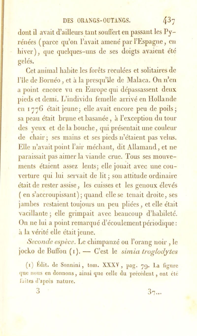 dont il avait d’ailleurs tant souffert en passant les Py- rénées (parce qu’on l’avait amené par l’Espagne, en hiver), que quelques-uns de ses doigts avaient été gelés. Cet animal habite les forêts reculées et solitaires de l’îlc de Bornéo, et à la presqu’île de Malaca. On n’en a point encore vu en Europe qui dépassassent deux pieds et demi. L’individu femelle arrivé en Hollande en 1776 était jeune; elle avait encore peu de poils; sa peau était brune et basanée, à l’exception du tour des yeux et de la bouche, qui présentait une couleur de chair ; ses mains et scs pieds n’étaient pas velus. Elle n’avait point l’air méchant, dit Allamand, et ne paraissait pas aimer la viande crue. Tous ses mouve- ments étaient assez lents; elle jouait avec une cou- verture qui lui servait de lit ; son attitude ordinaire était de rester assise, les cuisses et les genoux élevés ( en s’accroupissant); quand elle se tenait droite, ses jambes restaient toujours un peu pliées, et elle était vacillante ; elle grimpait avec beaucoup d’habileté. On ne lui a point remarqué d’écoulement périodique: à la vérité elle était jeune. Seconde espèce. Le chimpanzé ou l’orang noir , le jocko de Buffon (1). — C’est le simia troglodytes (1) Édit, de Sonnini, tom. XXXV, pag. 79. La figure que nous en donnons, ainsi que celle du précédent, ont été laites d’après nature.