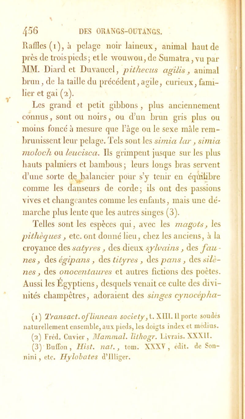 Radies (i), à pelage noir laineux, animal haut de près de trois pieds ; et le wouwou, de Sumatra, vu par MM. Diard et Duvaucel, pithecus agilis, animal brun, de la taille du précédent, agile, curieux, fami- lier et gai (2). Les grand et petit gibbons, plus anciennement connus, sont ou noirs, ou d’un brun gris plus ou moins foncé à mesure que l’âge ou le sexe mâle rem- brunissent leur pelage. Tels sout les simia lar, sirnia molocli ou leucisca. Ils grimpent jusque sur les plus hauts palmiers et bambous; leurs longs bras servent d’une sorte debalancier pour s’y tenir en éqùilibre comme les danseurs de corde ; ils ont des passions vives et changeantes comme les enfants, mais une dé- marche plus lente que les autres singes (3). Telles sont les espèces qui, avec les magots, les pithèques, etc. ont donné lieu, chez les anciens, à la croyance des satyres, des dieux sylvains, des fan - nés, des égipans, des tityres, des pans, fossile- lies, des onocentaures et autres fictions des poètes. Aussi les Égyptiens, desquels venait ce culte des divi- nités champêtres, adoraient des singes cynocépha- (1) Transact.oflinnea.il society, t. XIII. Il porte soudes naturellement ensemble, aux pieds, les doigts index et médius. (2) Fréd. Cuvier, Mammal. lit/iogr. Livrais. XXXII. (3) Billion, Hist. liât., tom. XXXV, edit. de Son- nini, etc. Hylobates d’illiger.