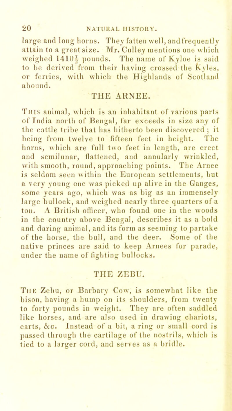 large and long horns. They fatten well, and frequently attain to a great size. Mr. Culley mentions one which weighed 1410J pounds. The name of Kyloe is said to be derived from their having crossed the Kyles, or ferries, with which the Highlands of Scotland abound. THE ARNEE. This animal, which is an inhabitant of various parts of India north of Bengal, far exceeds in size any of the cattle tribe that has hitherto been discovered ; it being from twelve to fifteen feet in height. The horns, which are full two feet in length, are erect and semilunar, flattened, and annularly wrinkled, with smooth, round, approaching points. The Arnee is seldom seen within the European settlements, but a very young one was picked up alive in the Ganges, some years ago, which was as big as an immensely large bullock, and weighed nearly three quarters of a ton. A British ofticer, who found one in the woods in the country above Bengal, describes it as a bold and daring animal, and its form as seeming to partake of the horse, the bull, and the deer. Some of the native princes are said to keep Arnees for parade, under the name of fighting bullocks. THE ZEBU. The Zebu, or Barbary Cow, is somewhat like the bison, having a hump on its shoulders, from twenty to forty pounds in weight. They are often saddled like horses, and are also used in drawing chariots, carts, &c. Instead of a bit, a ring or small cord is passed through the cartilage of the nostrils, which is tied to a larger cord, and serves as a bridle.