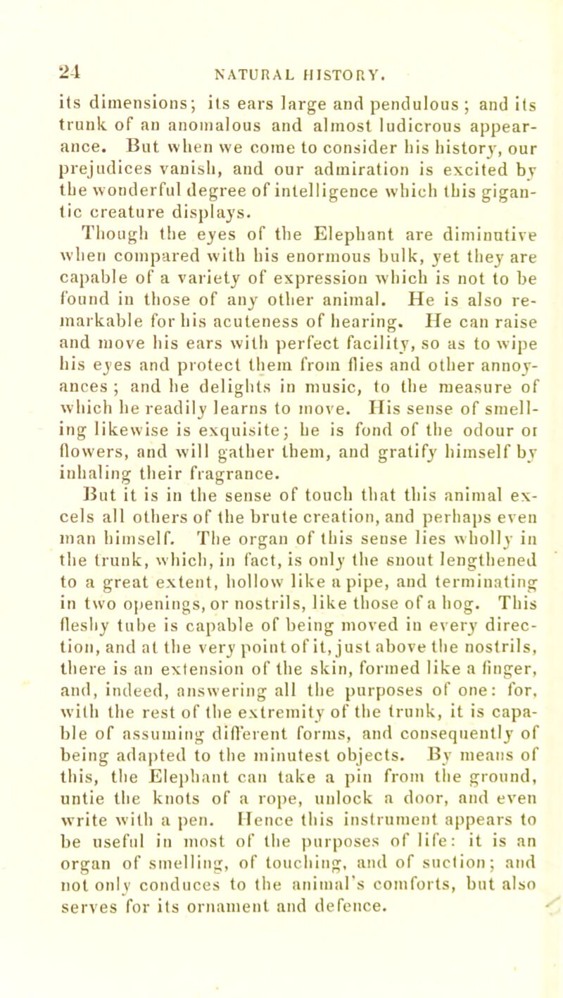 2-1 ils dimensions; ils ears large and pendulous ; and i(s trunk of an anomalous and almost ludicrous appear- ance. But when we come to consider his history, our prejudices vanish, and our admiration is excited by the wonderful degree of intelligence which this gigan- tic creature displays. Though the eyes of the Elephant are diminutive when compared with his enormous bulk, yet they are capable of a variety of expression which is not to he found in those of any other animal. He is also re- markable for his acuteness of hearing. He can raise and move his ears with perfect facility, so as to wipe his eyes and protect them from flies and other annoy- ances ; and he delights in music, to the measure of which he readily learns to move. His sense of smell- ing likewise is exquisite; he is fond of the odour or flowers, and will gather them, and gratify himself by inhaling their fragrance. But it is in the sense of touch that this animal ex- cels all others of the brute creation, and perhaps even man himself. The organ of this seuse lies wholly in the trunk, which, in fact, is only the 6nout lengthened to a great extent, hollow like a pipe, and terminating in two openings, or nostrils, like those of a hog. This (leshy tube is capable of being moved in every direc- tion, and at the very point of it, just above the nostrils, there is an extension of the skin, formed like a linger, and, indeed, answering all the purposes of one: for, with the rest of the extremity of the trunk, it is capa- ble of assuming different forms, and consequently of being adapted to the minutest objects. By means of this, the Elephant can take a pin from the ground, untie the knots of a rope, unlock a door, and even write with a pen. Hence this instrument appears to be useful in most of the purposes of life: it is an organ of smelling, of touching, and of suction; and not only conduces to the animal’s comforts, but also serves for its ornament and defence.
