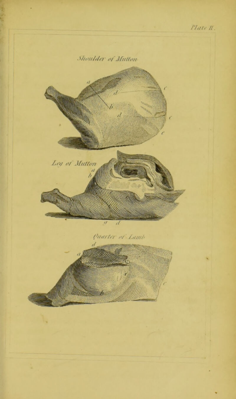 r/,!t, /I. <^/li>ll/i/lT l>l illlt/i>ll Lty/ ii/Miilti’/i t! ('//!///rr II/' /.H//1/1