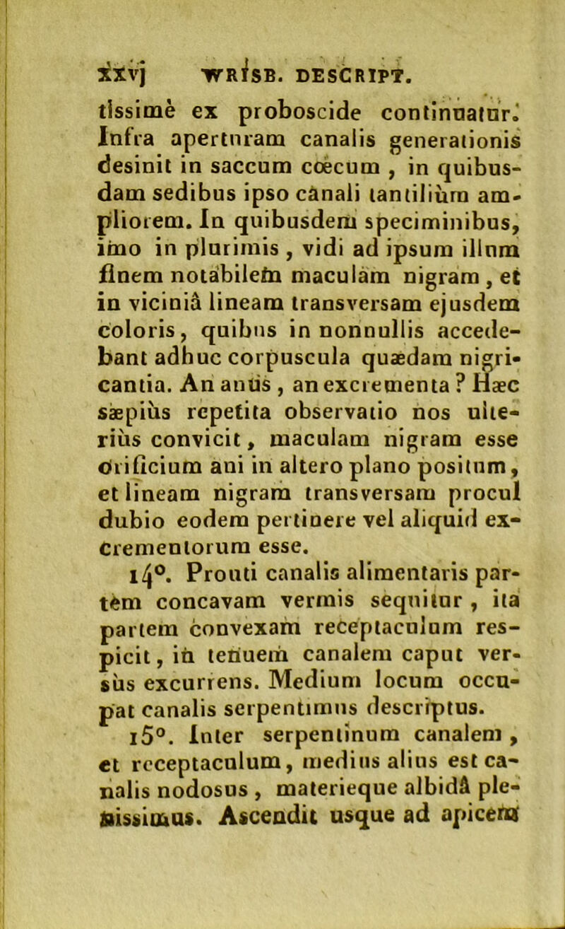 tissitne ex proboscide continnainrJ Infra aperturam canalis generationis desinit in saccum coecum , in quibus- dam sedibus ipso cRnali lamiliurn am> pliorem. In quibusdem speciminibus, iino in plurimis , vidi ad ipsum illnm finem notabilebr maculam nigram, et in vicinid lineam transversam ejusdem coloris, quibus in nonnullis accede- bant adhuc corpuscula quaedam nigri- cantia. An antis , an excrementa ? Haec saepius repetita observatio nos ulte- rius convicit, maculam nigram esse Orificium ani in altero plano positum, et lineam nigram transversam procul dubio eodem pertinere vel aliquid ex- crementorum esse. i4®. Prouti canalis alimentaris par- tem concavam vermis sequitur , ita partem convexam receptaculum res- picit, ih tetiuera canalem caput ver- sus excurrens. Medium locum occu- pat canalis serpentimns deserrptus. i5°. Inter serpentinum canalem , et receptaculum, medius alius est ca- nalis nodosos , materieque albidft ple- ttissioias. Ascendit usque ad apicem