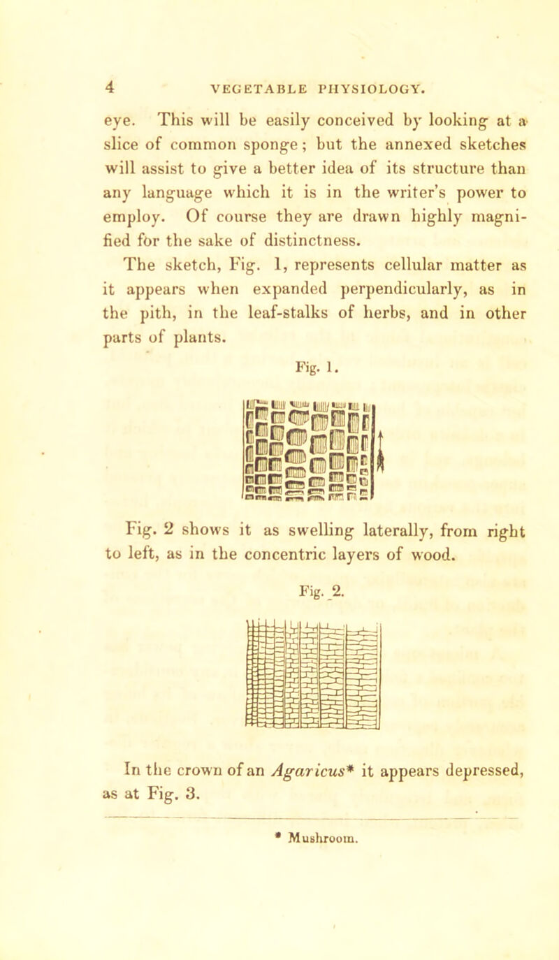 eye. This will be easily conceived by looking- at a slice of common sponge; but the annexed sketches will assist to give a better idea of its structure than any language which it is in the writer’s power to employ. Of course they are drawn highly magni- fied for the sake of distinctness. The sketch, Fig. 1, represents cellular matter as it appears when expanded perpendicularly, as in the pith, in the leaf-stalks of herbs, and in other parts of plants. Fig. 1. Fig. 2 shows it as swelling laterally, from right to left, as in the concentric layers of wood. Fig. .2. In the crown of an Agaricus* it appears depressed, as at Fig. 3. * Mushroom.