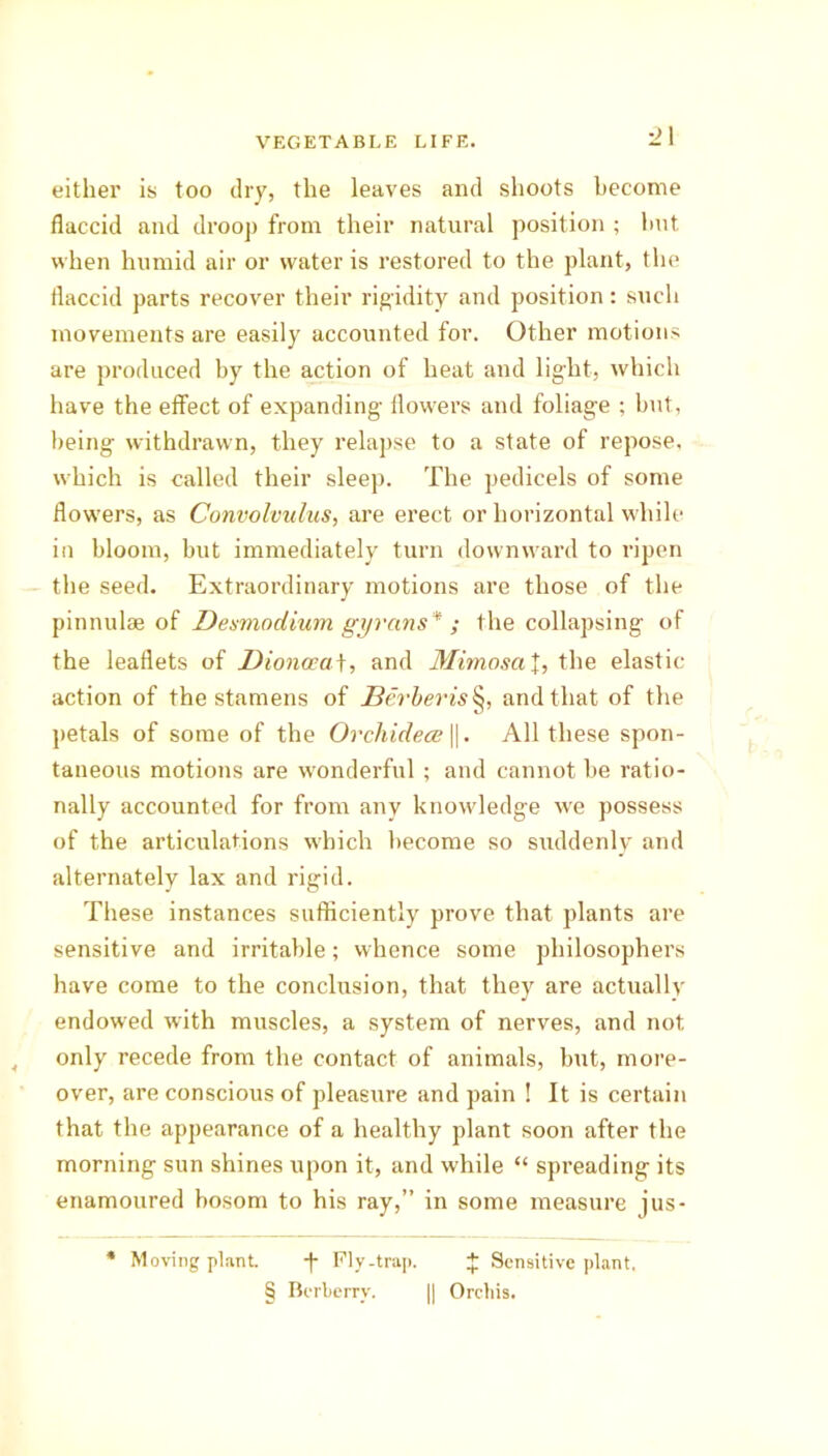'2\ either is too dry, the leaves and shoots become flaccid and droop from their natural position ; but when humid air or water is restored to the plant, the flaccid parts recover their rigidity and position: such movements are easily accounted for. Other motions are produced by the action of heat and light, which have the effect of expanding flowers and foliage ; but, being withdrawn, they relapse to a state of repose, which is called their sleep. The pedicels of some flowers, as Convolvulus, are erect or horizontal while in bloom, but immediately turn downward to ripen the seed. Extraordinary motions are those of the pinnulae of Desmodium gyrcins* ; the collapsing of the leaflets of Dionoeaf, and MimosaX, the elastic action of the stamens of Iivrberis§, and that of the petals of some of the Orchidece ||. All these spon- taneous motions are wonderful ; and cannot be ratio- nally accounted for from any knowledge we possess of the articulations which become so suddenly and alternately lax and rigid. These instances sufficiently prove that plants are sensitive and irritable; whence some philosophers have come to the conclusion, that they are actually endowed with muscles, a system of nerves, and not only recede from the contact of animals, but, more- over, are conscious of pleasure and pain ! It is certain that the appearance of a healthy plant soon after the morning sun shines upon it, and while “ spreading its enamoured bosom to his ray,” in some measure jus- * Moving plant. -f- Ply-trap. £ Sensitive plant, § Berberry. || Orchis.