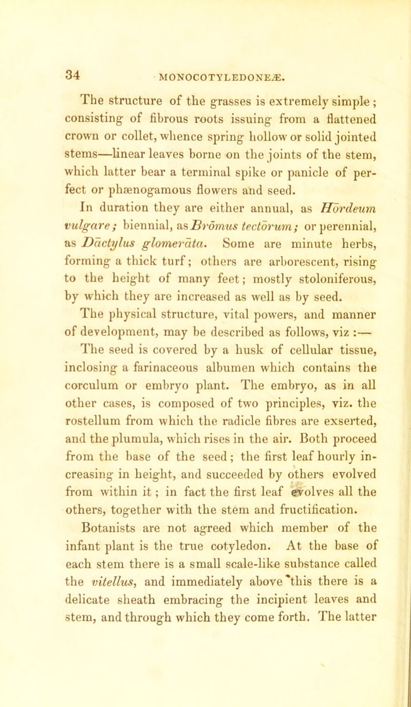 The structure of the grasses is extremely simple ; consisting of fibrous roots issuing from a flattened crown or collet, whence spring hollow or solid jointed stems—linear leaves borne on the joints of the stem, which latter bear a terminal spike or panicle of per- fect or phaenogamous flowers and seed. In duration they are either annual, as Hordeum vulgcire; biennial, ns Ih-dmus tectorum; or perennial, as Ddctylus glomerata. Some are minute herbs, forming a thick turf; others are arborescent, rising to the height of many feet; mostly stoloniferous, by which they are increased as well as by seed. The physical structure, vital powers, and manner of development, may be described as follows, viz :— The seed is covered by a husk of cellular tissue, inclosing a farinaceous albumen which contains the corculum or embryo plant. The embryo, as in all other cases, is composed of two principles, viz. the rostellum from which the radicle fibres are exserted, and the plumula, which rises in the air. Both proceed from the base of the seed; the first leaf hourly in- creasing in height, and succeeded by others evolved from within it; in fact the first leaf evolves all the others, together with the stem and fructification. Botanists are not agreed which member of the infant plant is the true cotyledon. At the base of each stem there is a small scale-like substance called the vitellus, and immediately above'this there is a delicate sheath embracing the incipient leaves and stem, and through which they come forth. The latter