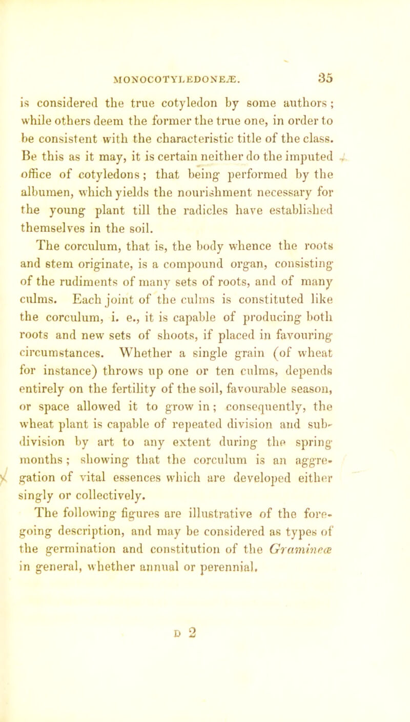 is considered the true cotyledon by some authors; while others deem the former the true one, in order to be consistent with the characteristic title of the class. Be this as it may, it is certain neither do the imputed office of cotyledons; that being performed by the albumen, which yields the nourishment necessary for the young plant till the radicles have established themselves in the soil. The corculum, that is, the body whence the roots and stem originate, is a compound organ, consisting of the rudiments of many sets of roots, and of many culms. Each joint of the culms is constituted like the corculum, i. e., it is capable of producing both roots and new sets of shoots, if placed in favouring circumstances. Whether a single grain (of wheat for instance) throws up one or ten culms, depends entirely on the fertility of the soil, favourable season, or space allowed it to grow in; consequently, the wheat plant is capable of repeated division and sub- division by art to any extent during the spring months ; showing that the corculum is an aggre- y! gation of vital essences which are developed either singly or collectively. The following figures are illustrative of the fore- going description, and may be considered as types of the germination and constitution of the Gramm nee in general, whether annual or perennial. 2