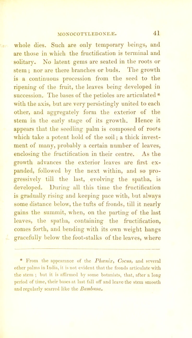 whole dies. Such are only temporary beings, and are those in which the fructification is terminal and solitary. No latent gems are seated in the roots or stem ; nor are there branches or buds. The growth is a continuous procession from the seed to the ripening of the fruit, the leaves being developed in succession. The bases of the petioles are articulated* with the axis, but are very persistingly united to each other, and aggregately form the exterior of the stem in the early stage of its growth. Hence it appears that the seedling palm is composed of roots which take a potent hold of the soil; a thick invest- ment of many, probably a certain number of leaves, enclosing the fructification in their centre. As the growth advances the exterior leaves are first ex- panded, followed by the next within, and so pro- gressively till the last, evolving the spatha, is developed. During all this time the fructification is gradually rising and keeping pace with, but always some distance below, the tufts of fronds, till it nearly gains the summit, when, on the parting of the last leaves, the spatha, containing the fructification, comes forth, and bending with its own weight hangs gracefully below the foot-stalks of the leaves, where * From the appearance of the Phoenix, Cocus, and several other palms in India, it is not evident that the fronds articulate with the stem ; but it is affirmed by some botanists, that, after a long period of time, their bases at last fall off and leave the stem smooth and regularly scarred like the Bambnsa.