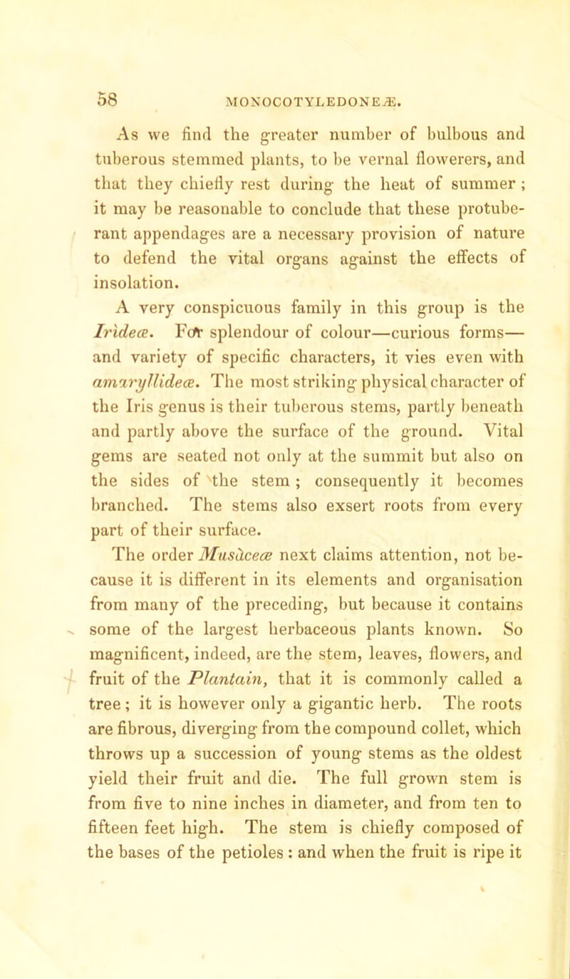 As we find the greater number of bulbous and tuberous stemmed plants, to be vernal flowerers, and that they chiefly rest during the heat of summer ; it may be reasonable to conclude that these protube- rant appendages are a necessary provision of nature to defend the vital organs against the effects of insolation. A very conspicuous family in this group is the Iridece. Fdr splendour of colour—curious forms— and variety of specific characters, it vies even with amaryllidece. The most striking physical character of the Iris genus is their tuberous stems, partly beneath and partly above the surface of the ground. Vital gems are seated not only at the summit but also on the sides of 'the stem; consequently it becomes branched. The stems also exsert roots from every part of their surface. The order MusHcece next claims attention, not be- cause it is different in its elements and organisation from mauy of the preceding, but because it contains some of the largest herbaceous plants known. So magnificent, indeed, are the stem, leaves, flowers, and fruit of the Plantain, that it is commonly called a tree; it is however only a gigantic herb. The roots are fibrous, diverging from the compound collet, which throws up a succession of young stems as the oldest yield their fruit and die. The full grown stem is from five to nine inches in diameter, and from ten to fifteen feet high. The stem is chiefly composed of the bases of the petioles : and when the fruit is ripe it