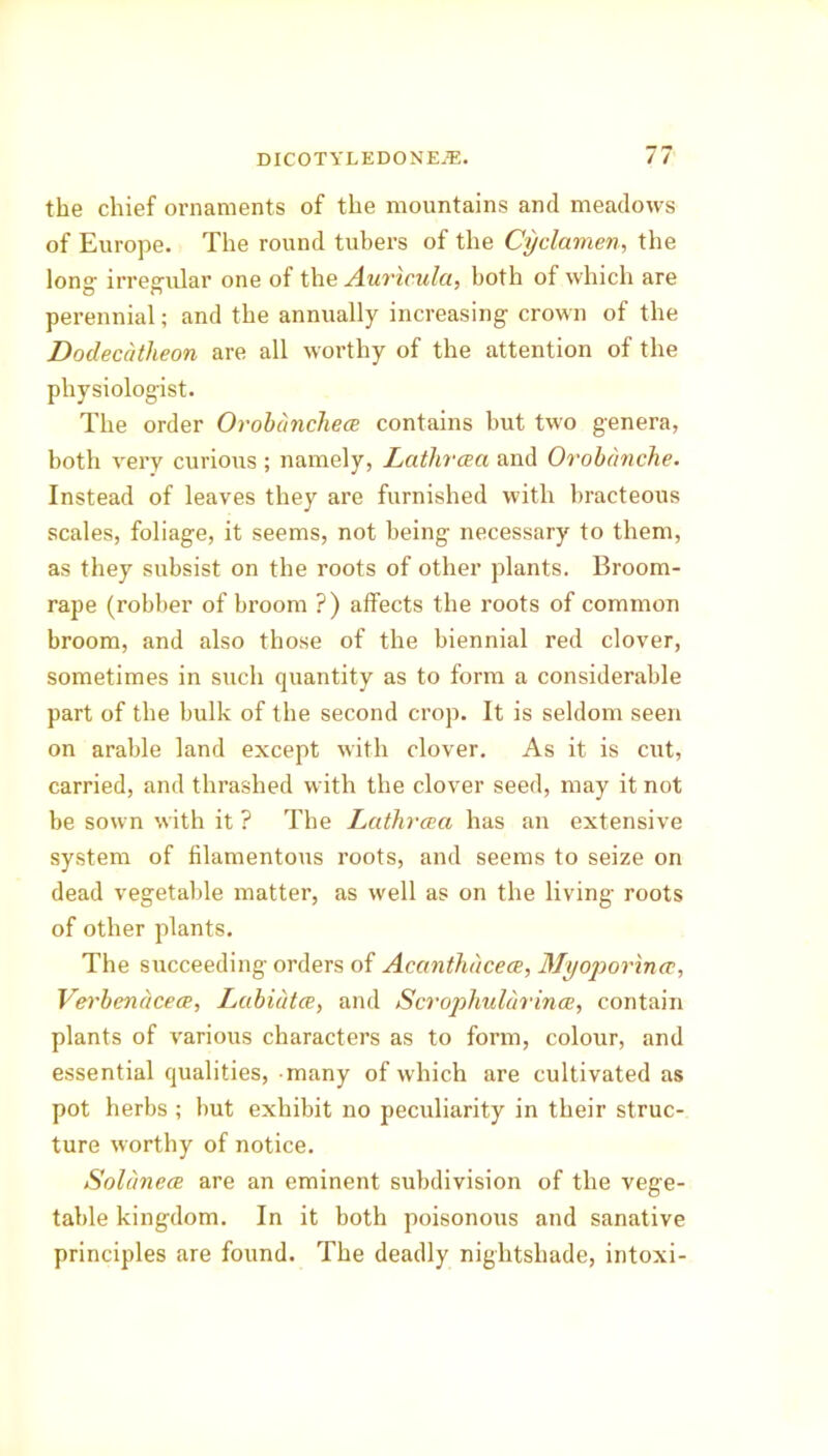 the chief ornaments of the mountains and meadows of Europe. The round tubers of the Cyclamen, the Ions- irregular one of the Auricula, both of which are perennial; and the annually increasing- crown of the Dodeccitheon are all worthy of the attention of the physiologist. The order Orobanchece contains but two genera, both very curious ; namely, Lathrcea and Orobanche. Instead of leaves they are furnished with bracteous scales, foliage, it seems, not being necessary to them, as they subsist on the roots of other plants. Broom- rape (robber of broom ?) affects the roots of common broom, and also those of the biennial red clover, sometimes in such quantity as to form a considerable part of the bulk of the second crop. It is seldom seen on arable land except with clover. As it is cut, carried, and thrashed with the clover seed, may it not be sown with it ? The Lathrcea has an extensive system of filamentous roots, and seems to seize on dead vegetable matter, as well as on the living roots of other plants. The succeeding orders of Accinthucece, Myoporince, Verbencicece, Labiates, and Scrophulc'irincc, contain plants of various characters as to form, colour, and essential qualities, many of which are cultivated as pot herbs ; but exhibit no peculiarity in their struc- ture worthy of notice. Solcinece are an eminent subdivision of the vege- table kingdom. In it both poisonous and sanative principles are found. The deadly nightshade, intoxi-