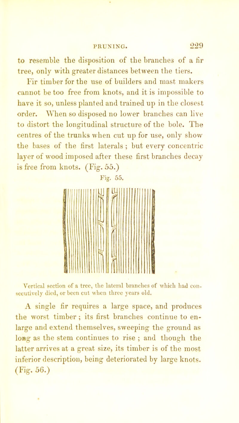 to resemble the disposition of the branches of a fir tree, only with greater distances between the tiers. Fir timber for the use of builders and mast makers cannot be too free from knots, and it is impossible to have it so, unless planted and trained up in the closest order. When so disposed no lower branches can live to distort the longitudinal structure of the bole. The centres of the trunks when cut up for use, only show the bases of the first laterals ; but every concentric layer of wood imposed after these first branches decay is free from knots. (Fig. 55.) Fig. 55. Vertical section of a tree, the lateral branches of which had con- secutively died, or been cut when three years old. A single fir requires a large space, and produces the worst timber; its first branches continue to en- large and extend themselves, sweeping the ground as long as the stem continues to rise ; and though the latter arrives at a great size, its timber is of the most inferior description, being deteriorated by large knots. (Fig. 56.)