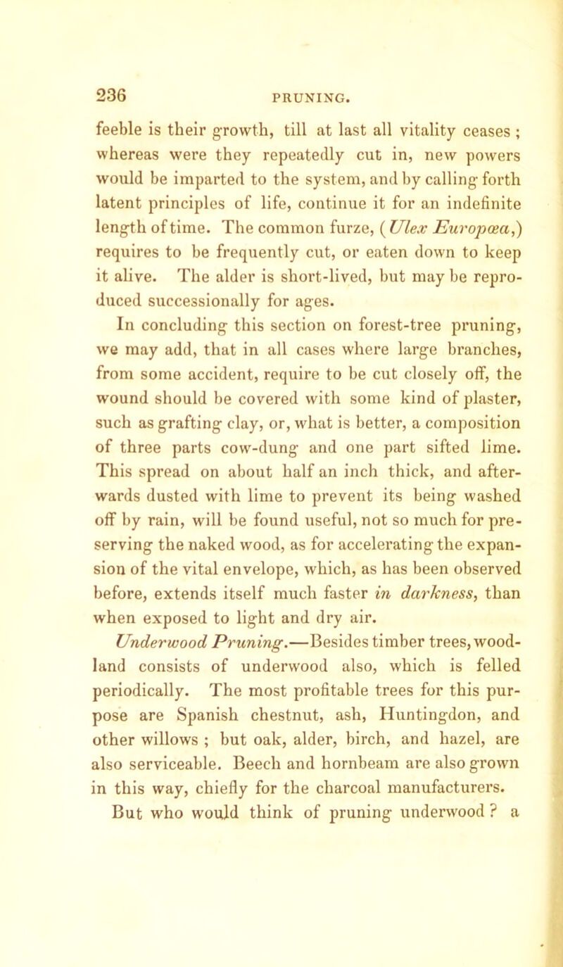 feeble is their growth, till at last all vitality ceases; whereas were they repeatedly cut in, new powers would be imparted to the system, and by calling-forth latent principles of life, continue it for an indefinite length of time. The common furze, ( Ulex Europosa,) requires to be frequently cut, or eaten down to keep it alive. The alder is short-lived, but may be repro- duced successionally for ages. In concluding this section on forest-tree pruning, we may add, that in all cases where large branches, from some accident, require to be cut closely off, the wound should be covered with some kind of plaster, such as grafting clay, or, what is better, a composition of three parts cow-dung and one part sifted lime. This spread on about half an inch thick, and after- wards dusted with lime to prevent its being washed off by rain, will be found useful, not so much for pre- serving the naked wood, as for accelerating the expan- sion of the vital envelope, which, as has been observed before, extends itself much faster in darkness, than when exposed to light and dry air. Underwood Pruning.—Besides timber trees, wood- land consists of underwood also, which is felled periodically. The most profitable trees for this pur- pose are Spanish chestnut, ash, Huntingdon, and other willows ; but oak, alder, birch, and hazel, are also serviceable. Beech and hornbeam are also grown in this way, chiefly for the charcoal manufacturers. But who would think of pruning underwood ? a