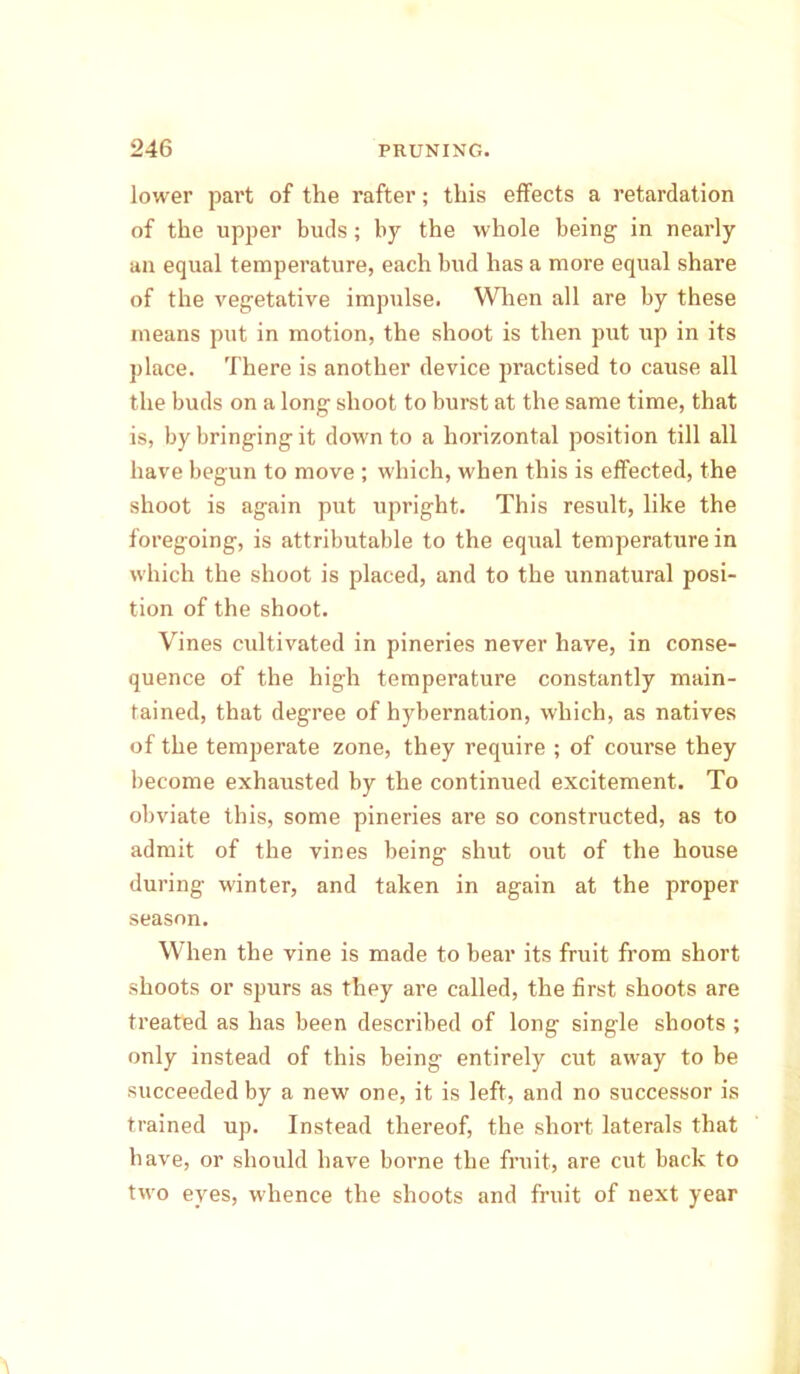 lower part of the rafter; this effects a retardation of the upper buds; by the whole being in nearly an equal temperature, each bud has a more equal share of the vegetative impulse. When all are by these means put in motion, the shoot is then put up in its place. There is another device practised to cause all the buds on a long shoot to burst at the same time, that is, by bringing it down to a horizontal position till all have begun to move ; which, when this is effected, the shoot is again put upright. This result, like the foregoing, is attributable to the equal temperature in which the shoot is placed, and to the unnatural posi- tion of the shoot. Vines cultivated in pineries never have, in conse- quence of the high temperature constantly main- tained, that degree of hybernation, which, as natives of the temperate zone, they require ; of course they become exhausted by the continued excitement. To obviate this, some pineries are so constructed, as to admit of the vines being shut out of the house during winter, and taken in again at the proper season. When the vine is made to bear its fruit from short shoots or spurs as they are called, the first shoots are treated as has been described of long single shoots ; only instead of this being entirely cut away to be succeeded by a new one, it is left, and no successor is trained up. Instead thereof, the short laterals that have, or should have borne the fruit, are cut back to two eyes, whence the shoots and fruit of next year