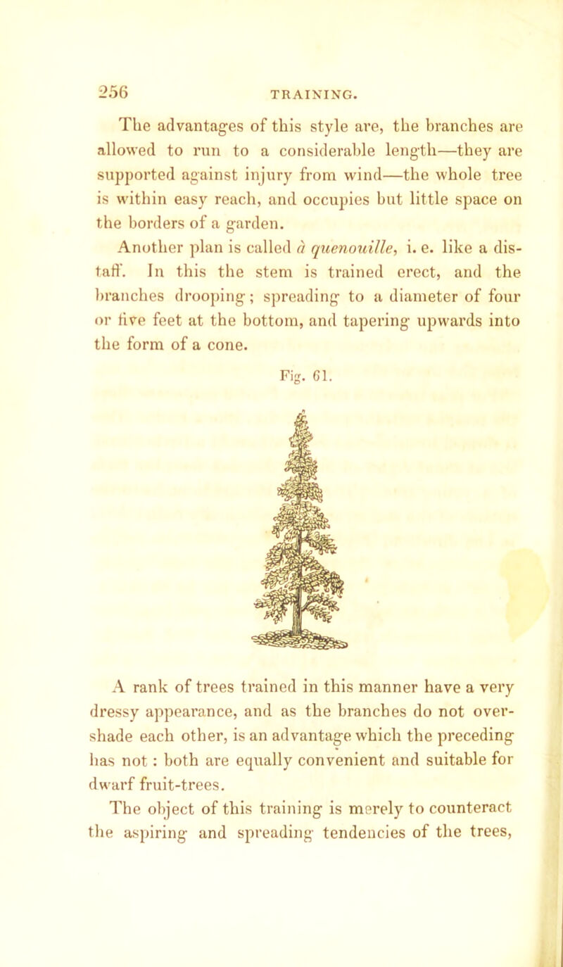 The advantages of this style are, the branches are allowed to run to a considerable length—they are supported against injury from wind—the whole tree is within easy reach, and occupies but little space on the borders of a garden. Another plan is called a quenouille, i. e. like a dis- tal!'. In this the stem is trained erect, and the branches drooping; spreading to a diameter of four or live feet at the bottom, and tapering upwards into the form of a cone. Fig. 61. A rank of trees trained in this manner have a very dressy appearance, and as the branches do not over- shade each other, is an advantage which the preceding has not: both are equally convenient and suitable for dwarf fruit-trees. The object of this training is merely to counteract the aspiring and spreading tendencies of the trees,