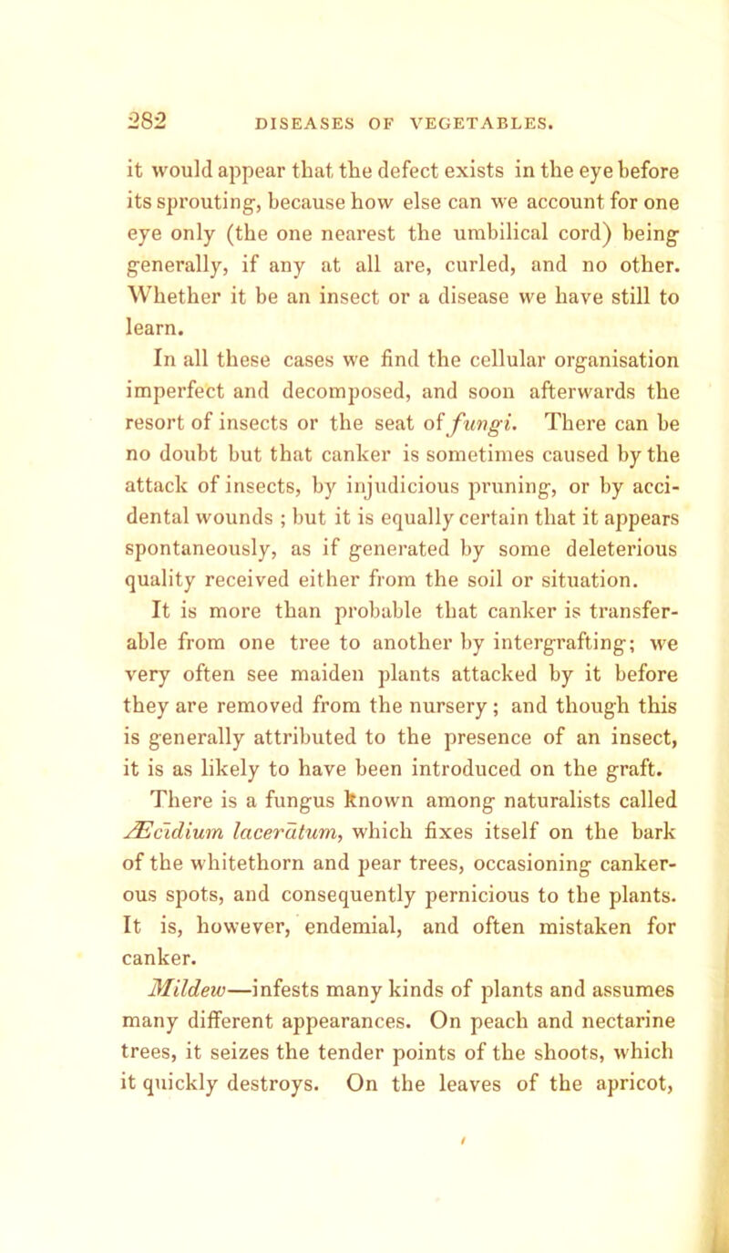 it would appear that, the defect exists in the eye before its sprouting-, because how else can we account for one eye only (the one nearest the umbilical cord) being generally, if any at all are, curled, and no other. Whether it be an insect or a disease we have still to learn. In all these cases we find the cellular organisation imperfect and decomposed, and soon afterwards the resort of insects or the seat of fungi. There can be no doubt but that canker is sometimes caused by the attack of insects, by injudicious pruning, or by acci- dental wounds ; but it is equally certain that it appears spontaneously, as if generated by some deleterious quality received either from the soil or situation. It is more than probable that canker is transfer- able from one tree to another by intergrafting; we very often see maiden plants attacked by it before they are removed from the nursery; and though this is generally attributed to the presence of an insect, it is as likely to have been introduced on the graft. There is a fungus known among naturalists called JEcidium Iciceratum, which fixes itself on the bark of the whitethorn and pear trees, occasioning canker- ous spots, and consequently pernicious to the plants. It is, however, endemial, and often mistaken for canker. Mildew—infests many kinds of plants and assumes many different appearances. On peach and nectarine trees, it seizes the tender points of the shoots, which it quickly destroys. On the leaves of the apricot,