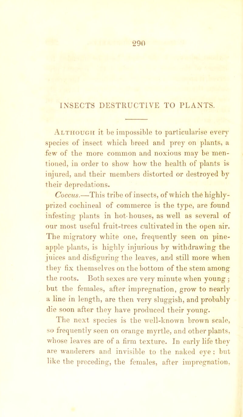 INSECTS DESTRUCTIVE TO PLANTS. Although it be impossible to particularise every species of insect which breed and prey on plants, a few of the more common and noxious may be men- tioned, in order to show how the health of plants is injured, and their members distorted or destroyed by their depredations. Coccus.—This tribe of insects, of which the highly- prized cochineal of commerce is the type, are found infesting- plants in hot-houses, as well as several of our most useful fruit-trees cultivated in the open air. The migratory white one, frequently seen on pine- apple plants, is highly injurious by withdrawing the juices and disfiguring the leaves, and still more when they fix themselves on the bottom of the stem among the roots. Both sexes are very minute when young ; but the females, after impregnation, grow to nearly a line in length, are then very sluggish, and probably die soon after they have produced their young. The next species is the well-known brown scale, so frequently seen on orange myrtle, and other plants, whose leaves are of a firm texture. In early life they are wanderers and invisible to the naked eye : but like the preceding, the females, after impregnation,