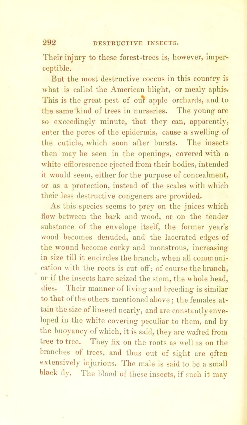 Their injury to these forest-trees is, however, imper- ceptible. But the most destructive coccus in this country is what is called the American blight, or mealy aphis. This is the great pest of ou^ apple orchards, and to the same kind of trees in nurseries. The young are so exceedingly minute, that they can, apparently, enter the pores of the epidermis, cause a swelling of the cuticle, which soon after bursts. The insects then may be seen in the openings, covered with a white efflorescence ejected from their bodies, intended it would seem, either for the purpose of concealment, or as a protection, instead of the scales with which their less destructive congeners are provided. As this species seems to prey on the juices which How between the bark and wood, or on the tender substance of the envelope itself, the former year’s wood becomes denuded, and the lacerated edges of the wound become corky and monstrous, increasing in size till it encircles the branch, when all communi- cation with the roots is cut off; of course the branch, or if the insects have seized the stem, the whole head, dies. Their manner of living and breeding- is similar to that of the others mentioned above ; the females at- tain the size of linseed nearly, and are constantly enve- loped in the white covering peculiar to them, and by the buoyancy of which, it is said, they are wafted from tree to tree. They fix on the roots as well as on the branches of trees, and thus out of sight are often extensively injurious. The male is said to be a small black fly. The blood of these insects, if such it may