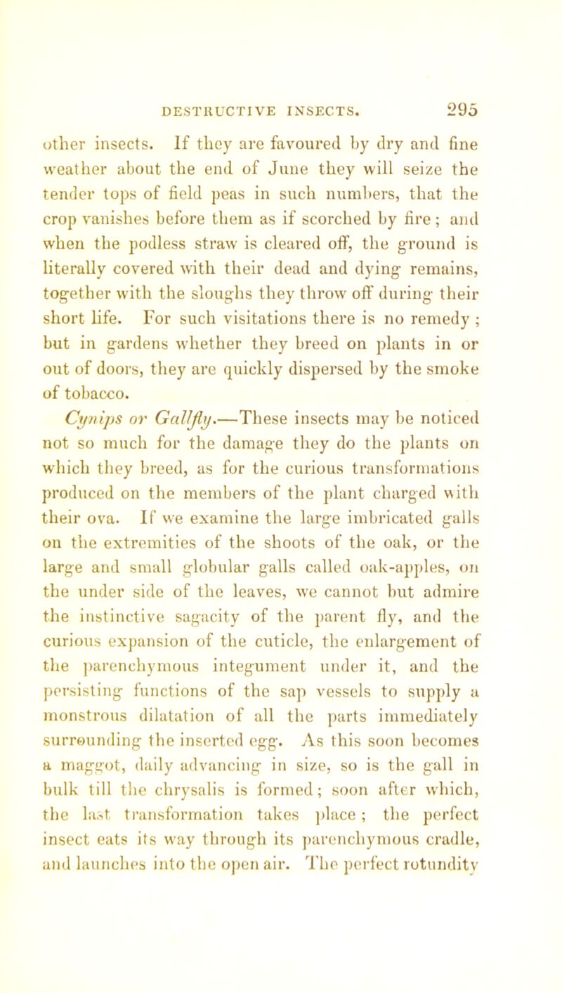 other insects. If they are favoured by dry and fine weather about the end of June they will seize the tender tops of field peas in such numbers, that the crop vanishes before tliem as if scorched by fire; and when the podless straw is cleared off, the ground is literally covered with their dead and dying remains, together with the sloughs they throw off during their short life. For such visitations there is no remedy ; but in gardens whether they breed on plants in or out of doors, they are quickly dispersed by the smoke of tobacco. Cynips or Gallfly.—These insects may be noticed not so much for the damage they do the plants on which they breed, as for the curious transformations produced on the members of the plant charged with their ova. If we examine the large imbricated galls on the extremities of the shoots of the oak, or the large and small globular galls called oak-apples, on the under side of the leaves, we cannot but admire the instinctive sagacity of the parent fly, and the curious expansion of the cuticle, the enlarg-ement of the parenchymous integument under it, and the persisting functions of the sap vessels to supply a monstrous dilatation of all the parts immediately surrounding the inserted egg. As this soon becomes a maggot, daily advancing in size, so is the gall in bulk till the chrysalis is formed; soon after which, the last transformation takes place; the perfect insect eats its way through its parenchymous cradle, and launches into the open air. The perfect rotundity