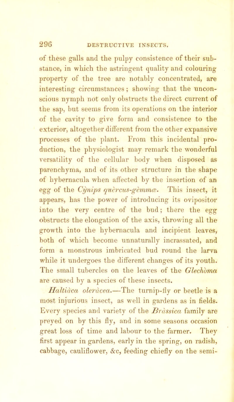 of these galls and the pulpy consistence of their sub- stance, in which the astringent quality and colouring property of the tree are notably concentrated, are interesting circumstances; showing that the uncon- scious nymph not only obstructs the direct current of the sap, but seems from its operations on the interior of the cavity to give form and consistence to the exterior, altogether different from the other expansive processes of the plant. From this incidental pro- duction, the physiologist may remark the wonderful versatility of the cellular body when disposed as parenchyma, and of its other structure in the shape of hybernacula when affected by the insertion of an egg of the Cynips qucrcus-gemmcc. This insect, it appears, has the power of introducing its ovipositor into the very centre of the bud; there the egg obstructs the elongation of the axis, throwing all the growth into the hybernacula and incipient leaves, both of which become unnaturally incrassated, and form a monstrous imbricated bud round the larva while it undergoes the different changes of its youth. The small tubercles on the leaves of the Glechoma are caused by a species of these insects. Haltiacct olerucea.—The turnip-fly or beetle is a most injurious insect, as v eil in gardens as in fields. Every species and variety of the Brassica family are preyed on by this fly, and in some seasons occasion great loss of time and labour to the farmer. They first appear in gardens, early in the spring, on radish, cabbage, cauliflower, &c, feeding chiefly on the semi-