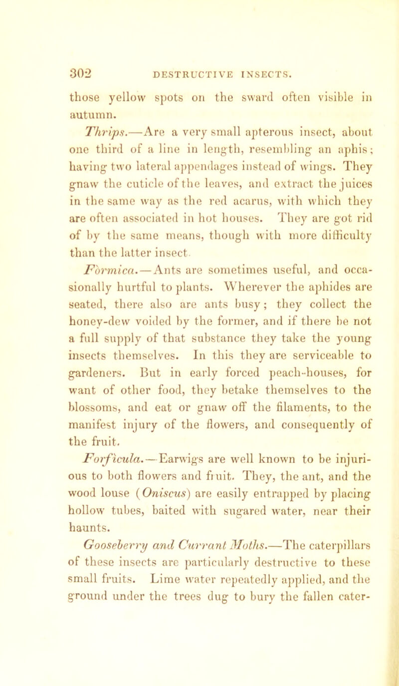 those yellow spots on the sward often visible in autumn. Thrips.—Are a very small apterous insect, about one third of a line in length, resembling an aphis; having two lateral appendages instead of wings. They gnaw the cuticle of the leaves, and extract the juices in the same way as the red acarus, with which they are often associated in hot houses. They are got rid of by the same means, though with more difficulty than the latter insect Formica.—Ants are sometimes useful, and occa- sionally hurtful to plants. Wherever the aphides are seated, there also are ants busy; they collect the honey-dew voided by the former, and if there be not a full supply of that substance they take the young insects themselves. In this they are serviceable to gardeners. But in early forced peach-houses, for want of other food, they betake themselves to the blossoms, and eat or gnaw off the filaments, to the manifest injury of the flowers, and consequently of the fruit. Forficula.—Earwigs are well known to be injuri- ous to both flowers and fruit. They, the ant, and the wood louse (Oniscus) are easily entrapped by placing hollow tubes, baited with sugared water, near their haunts. Gooseberry and Currant Moths.—The caterpillars of these insects are particularly destructive to these small fruits. Lime water repeatedly applied, and the ground under the trees dug to bury the fallen cater-