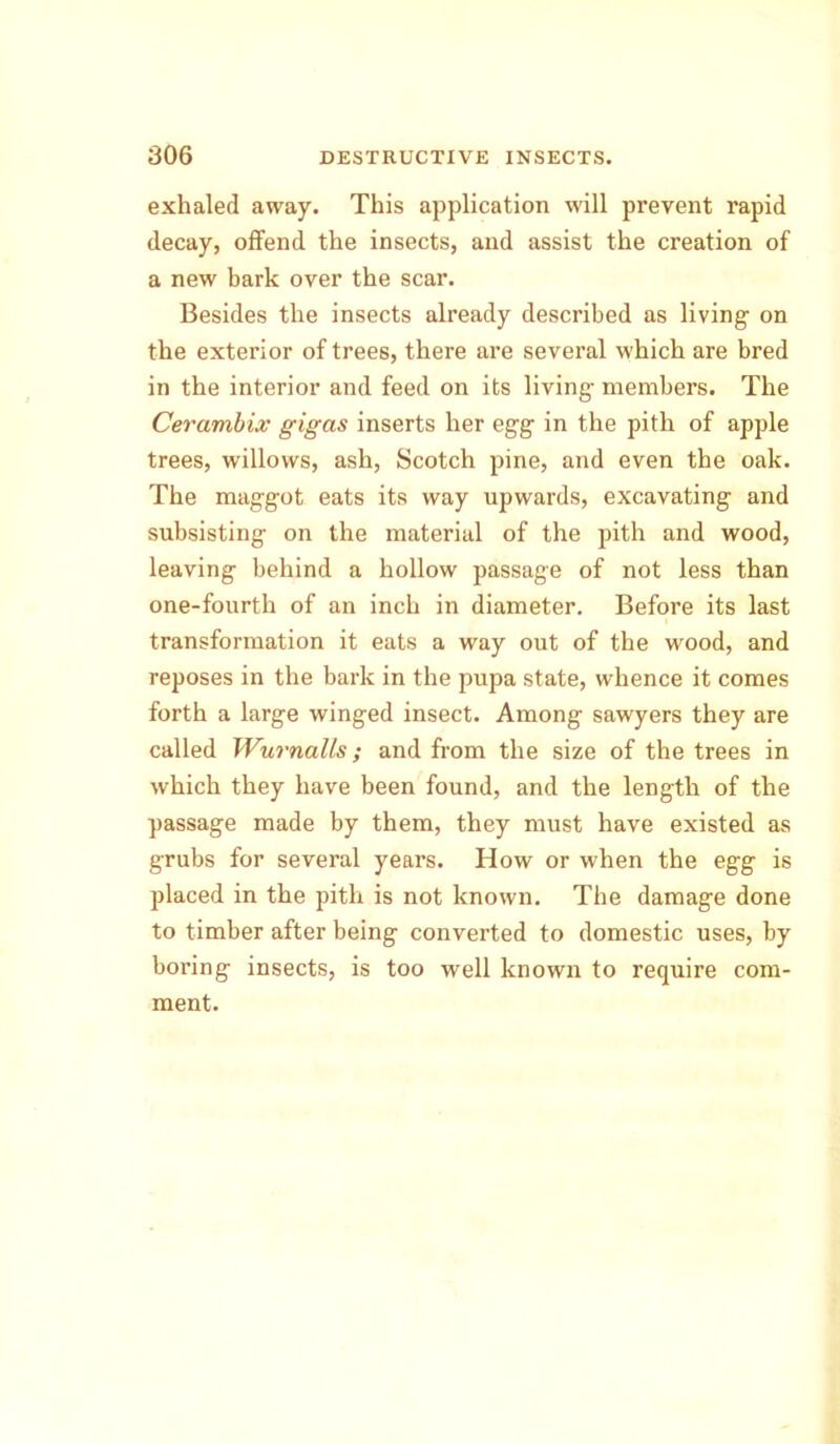 exhaled away. This application will prevent rapid decay, offend the insects, and assist the creation of a new bark over the scar. Besides the insects already described as living- on the exterior of trees, there are several which are bred in the interior and feed on its living- members. The Cevambix gigcis inserts her egg- in the pith of apple trees, willows, ash, Scotch pine, and even the oak. The maggot eats its way upwards, excavating and subsisting on the material of the pith and wood, leaving behind a hollow passage of not less than one-fourth of an inch in diameter. Before its last transformation it eats a way out of the wood, and reposes in the bark in the pupa state, whence it comes forth a large winged insect. Among sawyers they are called Wurnails; and from the size of the trees in which they have been found, and the length of the passage made by them, they must have existed as grubs for several years. How or when the egg is placed in the pith is not known. The damage done to timber after being converted to domestic uses, by boi’ing insects, is too well known to require com- ment.