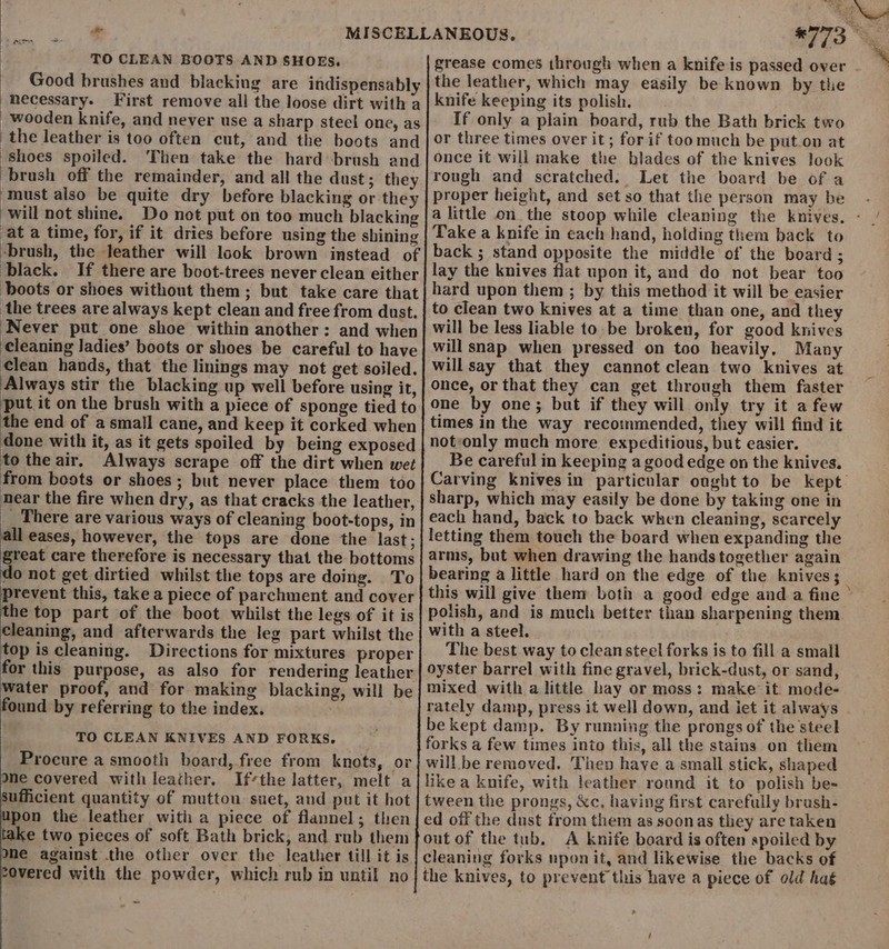 * 0h a : TO CLEAN BOOTS AND SHOES, wooden knife, and never use a sharp steel one, as the leather is too often cut, and the boots and shoes spoiled. Then take the hard brush and brush off the remainder, and all the dust; they must also be quite dry before blacking or they will not shine. Do not put on too much blacking at a time, for, if it dries before using the shining black. the trees are always kept clean and free from dust. Never put one shoe within another: and when cleaning ladies’ boots or shoes be careful to have clean hands, that the linings may not get soiled. Always stir the blacking up well before using it, put it on the brush with a piece of sponge tied to the end of a small cane, and keep it corked when done with it, as it gets spoiled by being exposed to the air. Always scrape off the dirt when wet from boots or shoes; but never place them too near the fire when dry, as that cracks the leather, _ There are various ways of cleaning boot-tops, in all eases, however, the tops are done the last : great care therefore is necessary that the bottoms do not get dirtied whilst the tops are doing. To prevent this, take a piece of parchment and cover the top part of the boot whilst the legs of it is cleaning, and afterwards the leg part whilst the top is cleaning. Directions for mixtures proper for this purpose, as also for rendering leather water proof, and for making blacking, will be found by referring to the index. TO CLEAN KNIVES AND FORKS. Procure a smooth board, free from knots, or one covered with leather. If*the latter, melt a ufficient quantity of muttou suet, and put it hot pon the leather with a piece of flannel; then take two pieces of soft Bath brick, and rub them me against the other over the leather till it is 20vered with the powder, which rub in until no grease comes through when a knife is passed over the leather, which may easily be known by the knife keeping its polish. If only a plain board, rub the Bath brick two or three times over it ; for if too much be put.on at once it will make the blades of the knives look rough and scratched. Let the board be of a proper height, and set so that the person may be Take a knife in each hand, holding them back to back ; stand opposite the middle of the board ; lay the knives flat upon it, and do not bear too hard upon them ; by this method it will be easier to clean two knives at a time than one, and they will be less liable to. be broken, for good knives will snap when pressed on too heavily, Many will say that they cannot clean two knives at once, or that they can get through them faster one by one; but if they will only try it afew times in the way recommended, they will find it notonly much more expeditious, but easier. Be careful in keeping a good edge on the knives. sharp, which may easily be done by taking one in each hand, back to back when cleaning, scarcely letting them touch the board when expanding the arms, but when drawing the hands together again bearing a little hard on the edge of the knives; % polish, and is much better than sharpening them with a steel. The best way to clean steel forks is to fill a small oyster barrel with fine gravel, brick-dust, or sand, mixed with a little hay or moss: make it mode- rately damp, press it well down, and iet it always be kept damp. By running the prongs of the steel forks a few times into this, all the stains on them will be removed. Then haye a small stick, shaped like a knife, with leather round it to polish be- tween the prongs, &amp;c, having first carefully brush- ed off the dust from them as soonas they are taken out of the tub, A knife board is often spoiled by the knives, to prevent this have a piece of old hag ry