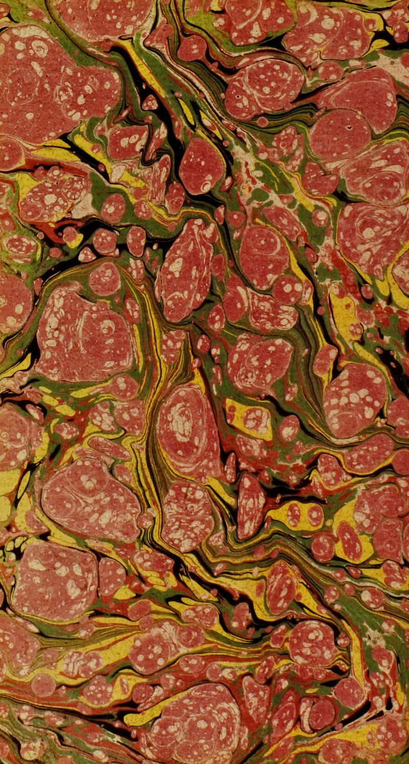 ■ vVvrf-5-' ? J0 M B I mlir Wä ™ Br5»^ *v* k'7xT OTl<t^B *. p* i p> *, • v w: t 40 *