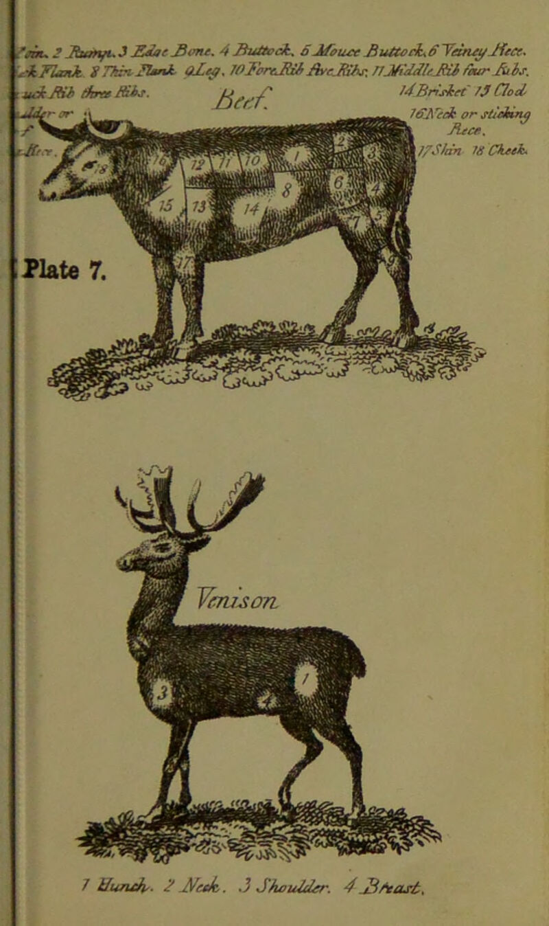 , J T^f Bam. 4Jh^at, 6JifoiueSiUU>ch.SYeuui/Jitee> K-'k'FiaiOt iTkvtJUnk- 0LL^,7OT&rtLRz^Ar(Ll^ihj\T7jfidM/Jiii/hurMtij. m-k dtrte Mkf. 74BrtAet // Clod 7SJ\r£di or stidmno Jiece. 7/S/dn laCTud^