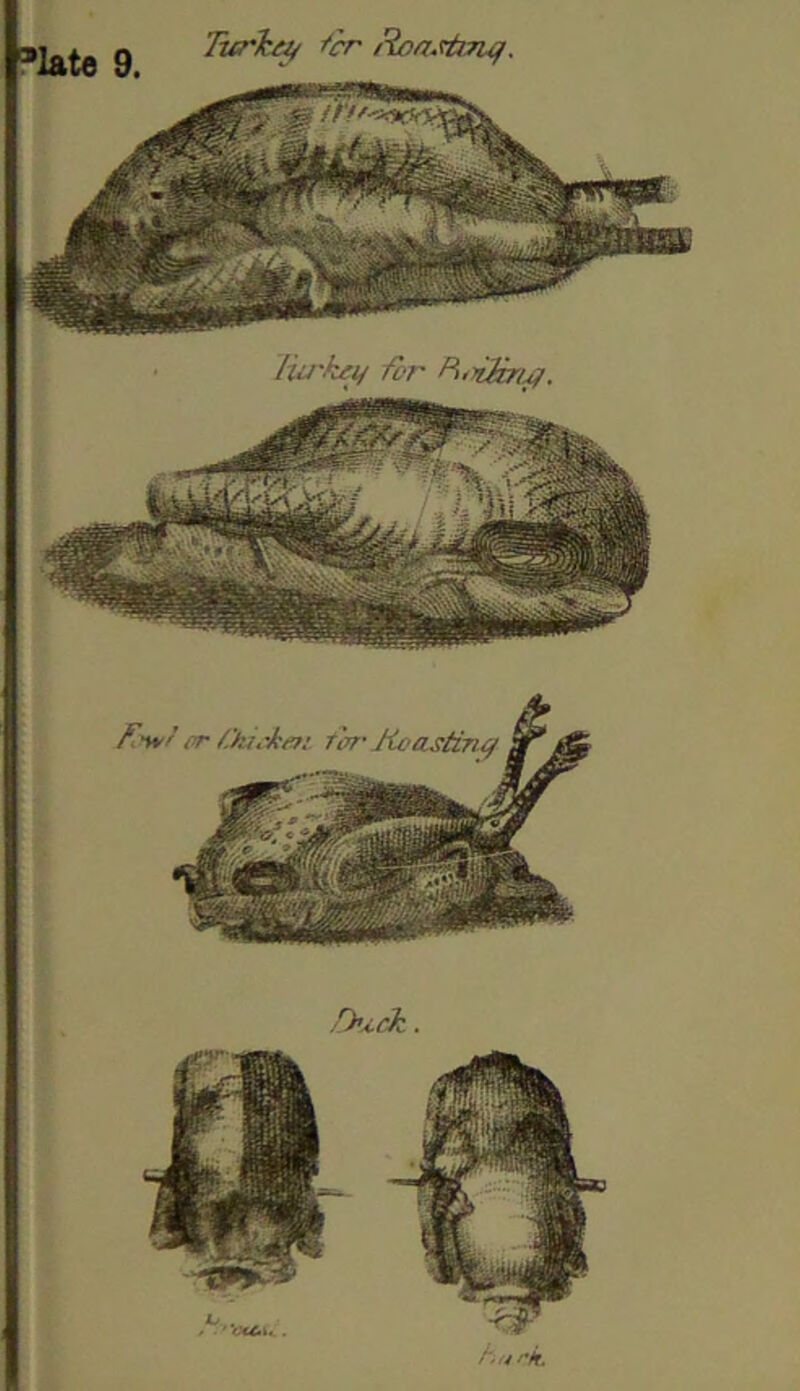 Ttirl^ ^'cr lia-key for PxTiUn^. f-wf or fhu-ken fen-Koastiny .fh^rJz. ' ■ 4 t'k.