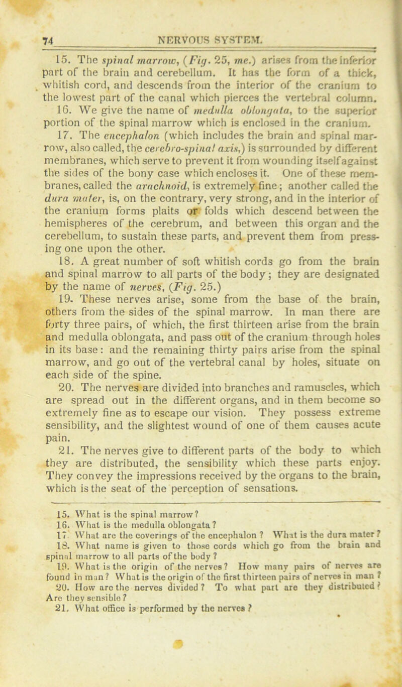 15. The spinal marrow, 25, me.) arises from the inferior part of the brain and cerebellum. It has the form of a thick, whitish cord, and descends from the interior of the cranium to the lowest part of the canal which pierces the vertebral column. 16. We give the name of medulla oblonrjata, to the superior portion of the spinal marrow which is enclosed in the cranium. 17. The encephalon (which includes the brain and spinal mar- row, also called, the cerchro-spiua! axis,) is surrounded by different membranes, which serve to prevent it from wounding itself against the sides of the bony case which encloses it. One of these mem- branes, called the arachnoid, is extremely fine; another called the dura mater, is, on the contrary, very strong, and in the interior of the cranium forms plaits or folds which descend between the hemispheres of the cerebrum, and between this organ and the cerebellum, to sustain these parts, and prevent them from press- ing one upon the other. 18. A great number of soil whitish cords go from the brain and spinal marrow to all parts of the body; they are designated by the name of nerves, {Fig. 25.) 19. These nerves arise, some from the base of the brain, others from the sides of the spinal marrow. In man there are forty three pairs, of which, the first thirteen arise from the brain and medulla oblongata, and pass out of the cranium through holes in its base: and the remaining thirty pairs arise from the spinal marrow, and go out of the vertebral canal by holes, situate on each side of the spine. 20. The nerves are divided into branches and ramuscles, which are spread out in the different organs, and in them become so extremely fine as to escape our vision. They possess extreme sensibility, and the slightest wound of one of them causes acute pain. 21. The nerves give to different parts of the body to which they are distributed, the sensibility which these parts enjoy. They convey the impressions received by the organs to the brain, which is the seat of the perception of sensations. 15. What is the spinal marrow? 16. What is the medulla oblongata 7 17. What are the coverings of the encephalon ? What is the dura mater 7 18. What name is given to those cords which go from tlie brain and spinal marrow to all parts of the body ? 19. What is the origin of the nerves? How many pairs of nerves are found in man? What is the origin of the first thirteen pairs of nerves in man ? ao. How are the nerves divided? To what pail are they distributed? Arc they sensible ? 21, What office is performed by the nerves ?