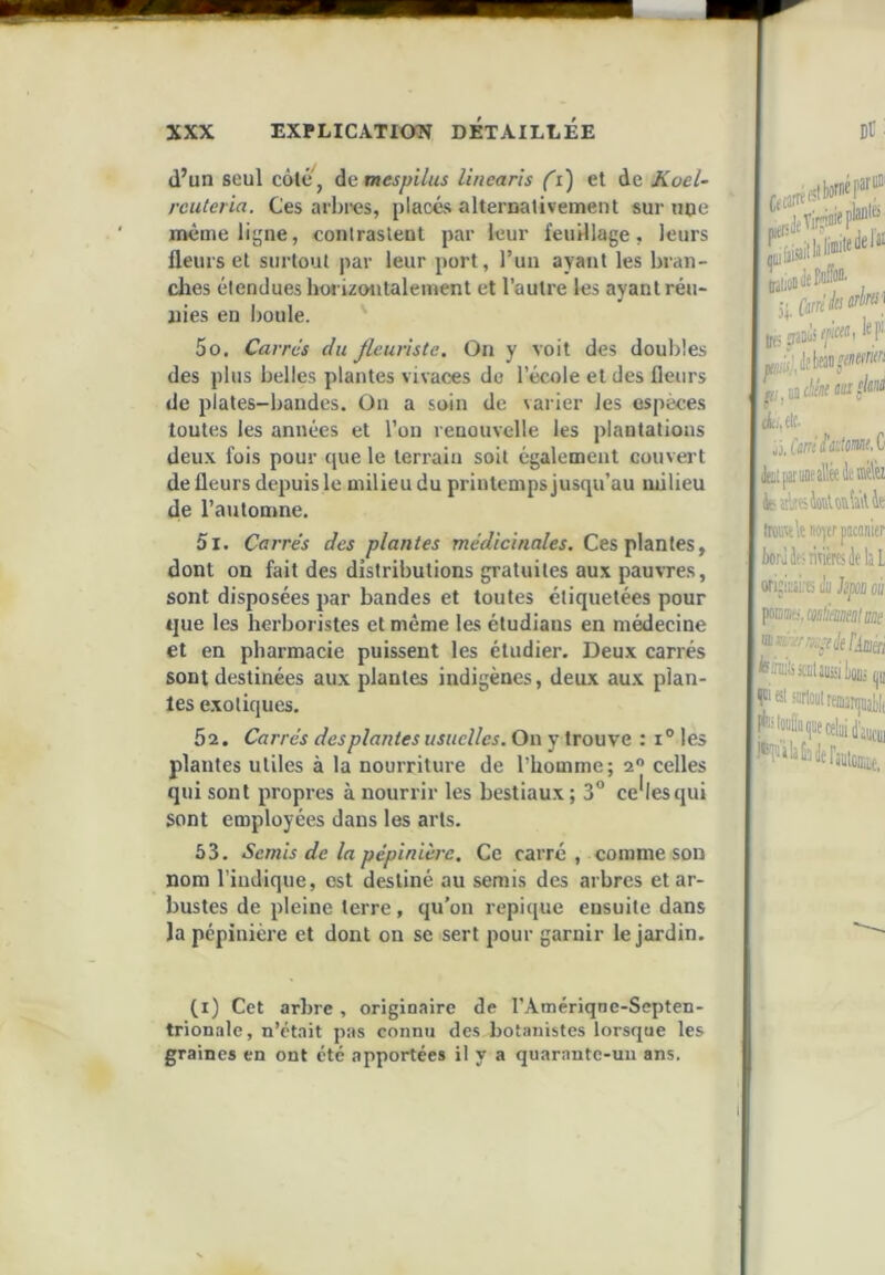 d’un seul côté', de mespilus linearis (i) et de Koel~ rcuteria. Ces arlii'es, placés alternativement sur une même ligne, contrastent par leur feuillage, leurs fleurs et surtout par leur port, l’un ayant les bran- dies étendues horizontalement et l’autre les ayant réu- nies en boule. 50. Carrés du fleuriste. On y voit des doubles des plus belles plantes vivaces de l’école et des fleurs de plates-bandes. On a soin de varier les espèces toutes les années et l’on renouvelle les plantations deu.x fois pour cjue le terrain soit également couvert de fleurs depuis le milieu du printemps jusqu’au milieu de l’automne. 51. Carrés des plantes médicinales. Ces plantes, dont on fait des distributions gratuites aux pauvTes, sont disposées par bandes et toutes étiquetées pour que les herboristes et même les étudians en médecine et en pharmacie puissent les étudier. Deux carrés sont destinées aux plantes indigènes, deux aux plan- tes exotiques. : 1° les ” celles ;*lesqui sont employées dans les arts. 53. Semis de la pépinière. Ce carré , comme son nom l’indique, est destiné au serais des arbres et ar- bustes de pleine terre , qu’on repique ensuite dans la pépinière et dont on se sert pour garnir le jardin. 52. Carrés des plantes usuelles. On y trouve plantes utiles à la nourriture de l’homme; i qui sont propres à nourrir les bestiaux ; 3° 5'faméjiirfci If; jrSDiii kP ibémldutouSàtàt îrowltnqff pacan'nr borilfcriTOrtslfkL ofiîitati eu hm eu fomtj.mimealMt III r; “6t«remnjual)lt teWaijue celai d'auem f i) Cet arbre , originaire de l’Amériqne-Septen- trionale, n’était pas connu des botanistes lorsque les graines en ont été apportées il y a quarante-uii ans. I