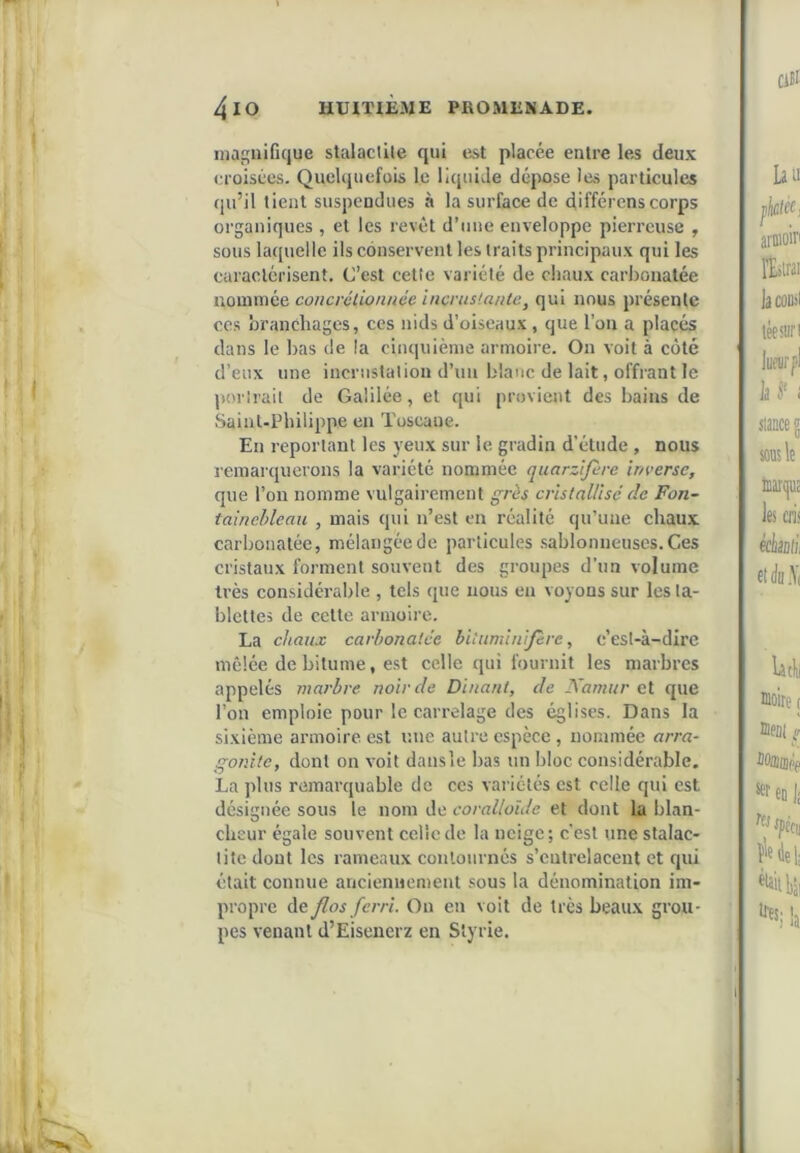 I niaiîiiifique stalaclLte qui list placée entre le^ deux croisées. Quelquefois le licjuiJe dépose les particules qu’il tient suspendues à la surface de différons corps organiques , et les revêt d’une enveloppe pierreuse , sous laquelle ils conservent les traits principaux qui les caractérisent. C’est cette variété de chaux carbonatée nounnée concrélionnée incrustanU:, qui nous présente CCS branchages, ces nids d’oiseaux , que l’on a placés dans le bas de la cinquième armoire. On voit à côté d’eux une incrustation d’un blanc de lait, offrant le portrait de Galilée, et qui provient des bains de Saint-Philippe en Toscane. En reportant les yeux sur le gradin d’étude , nous remarquerons la variété nommée quarzifire inverse, que l’on nomme vulgairement grès cristallisé de Fon- tainebleau , mais qui n’est en réalité qu’une chaux carbonatée, mélangée de particules sablonneuses. Ces cristaux forment souvent des groupes d’un volume très considérable , tels que nous en voyons sur les ta- blettes de cette armoire. La chaux carbonatée bituminijère, c’est-à-dire mêlée de bitume, est celle qui fournit les marbres appelés marbre noircie Binant, de Namur et que l’on emploie pour le carrelage des églises. Dans la sixième armoire est une autre espèce, nommée arra~ gonitc, dont on voit dans le bas un bloc considérable. La plus remarquable de ces variétés est celle qui est désignée sous le nom de coralloîde et dont la blan- cheur égale souvent celle de la neige; c’est une stalac- tite dont les rameaux contournés s’entrelacent et qui était connue ancienuenient sous la dénomination im- propre de flos ferri. On en voit de très beaux grou- pes venant d’Eisenerz en Slyrie.