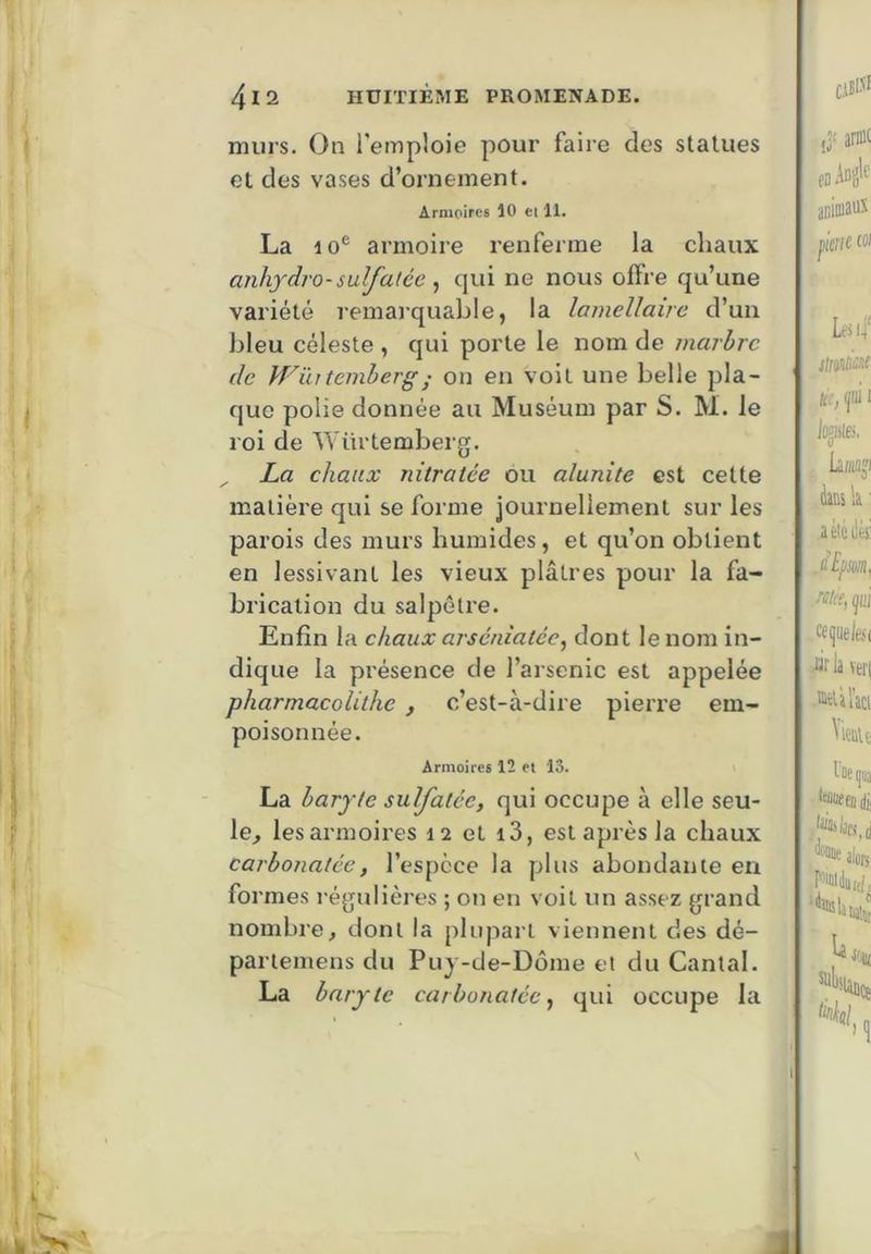 murs. On l'emploie pour faire des statues et des vases d’ornement. Armoires 10 ci 11. La 10® armoire renferme la chaux anhydro-sulfatée , qui ne nous offre qu’une variété l’emarquable, la lamellaire d’un bleu céleste , qui porte le nom de marbre de VFïutemherg; on en voit une belle pla- que polie donnée au Muséum par S. M. le roi de Würtemberg. La chaux niiratée ou alunite est cette matière qui se forme journellement sur les parois des murs humides, et qu’on obtient en lessivant les vieux plâtres pour la fa- brication du salpêtre. Enfin la chaux arséniatée, dont le nom in- dique la présence de l’arsenic est appelée pharmacolithe , c’est-à-dire pierre em- poisonnée. Armoires 12 et 13. La baryte sulfatée, qui occupe à elle seu- le^ les armoires 12 et i3, est après la chaux carbonatée, l’espèce la plus abondante en formes régulières ; on en voit un assez grand nombre, dont la plupart viennent des dé- parlemens du Puy-de-Dôme et du Cantal. La baryte carbonatée,, qui occupe la