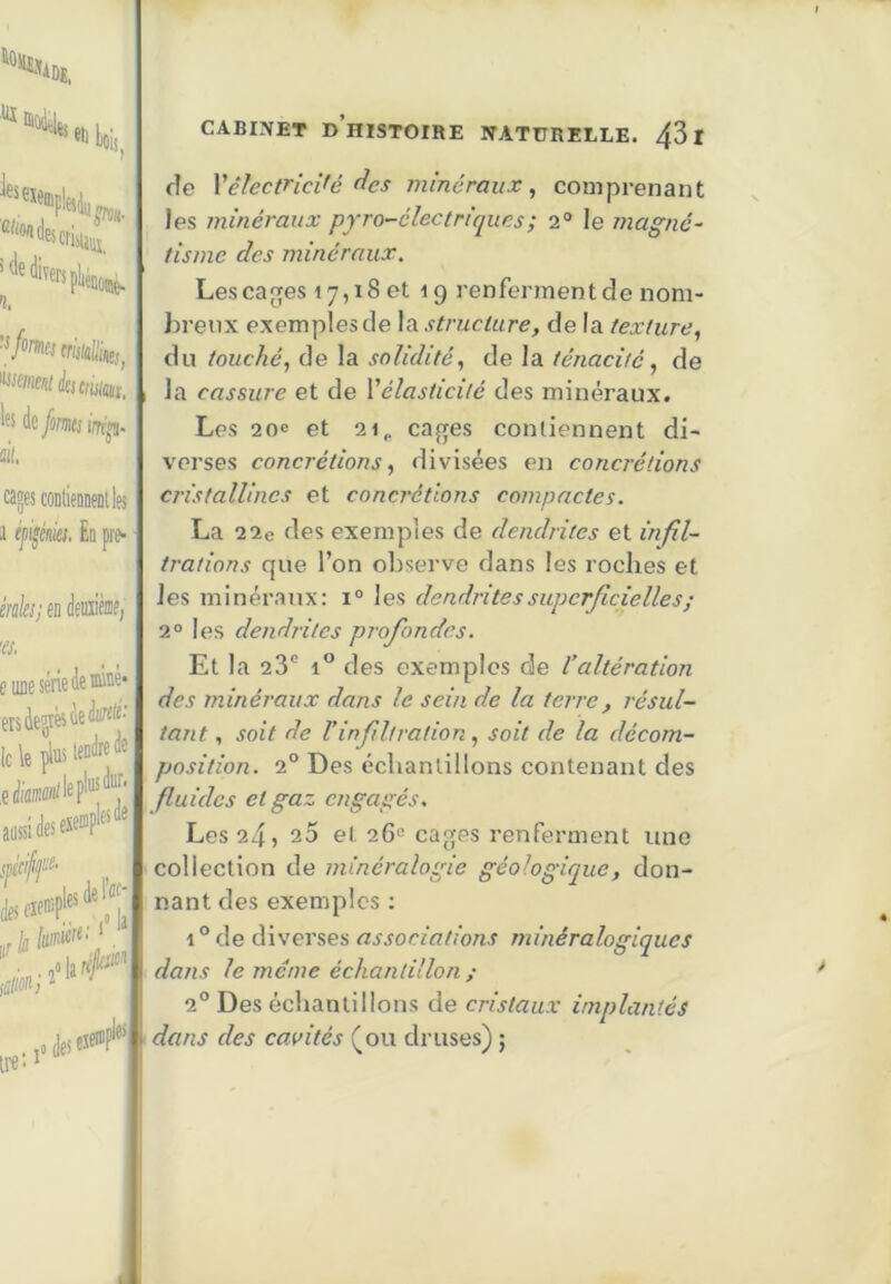 gn». Uï 'i, ’^Mu maints^ 'ismeid icniisiia;^ de fm im'jj. à, cages coDtienneDlIes 1 ifii^éiiki. En pre- iràs; en deuiifw, w. e une série de iideé* ers deÿès de durci* ' le le et aussi ideseic®?' lies de lie: lies CABINET d’histoire NATURELLE. 431 de \électricité des minéraux^ comprenant les minéraux pyro-électriques ; 2° le magné- tisme des minéraux, Lescappes 17,18 et 19 renferment de nom- breux exemples de la structure, de la texture^ du touché,, de la solidité,, de la ténacité,, de la cassure et de Vélasticité des minéraux. Les 20® et 21P cages contiennent di- verses concrétions, divisées en concrétions cristallines et concrétions compactes, La 22e des exemples de dendrites et infil- trations que l’on observe dans les roches et les minéi’anx: 1° les dendrites superficielles ; 2° les dendrites profiondes, Et la 23' 1° des exemples de Valtération des minéraux dans le sein de la terre, résul- tant , soit de Vinfiiltration, soit de la décom- position. 2° Des échantillons contenant des fluides et gaz engagés. Les 24, 25 et 26c cages renferment une collection de minéralogie géologique, don- nant des exemples : i°de diverses associations minéralogiques dans le meme échantillon ; 2° Des échantillons de cristaux implantés dans des cavités (ou druses) ;