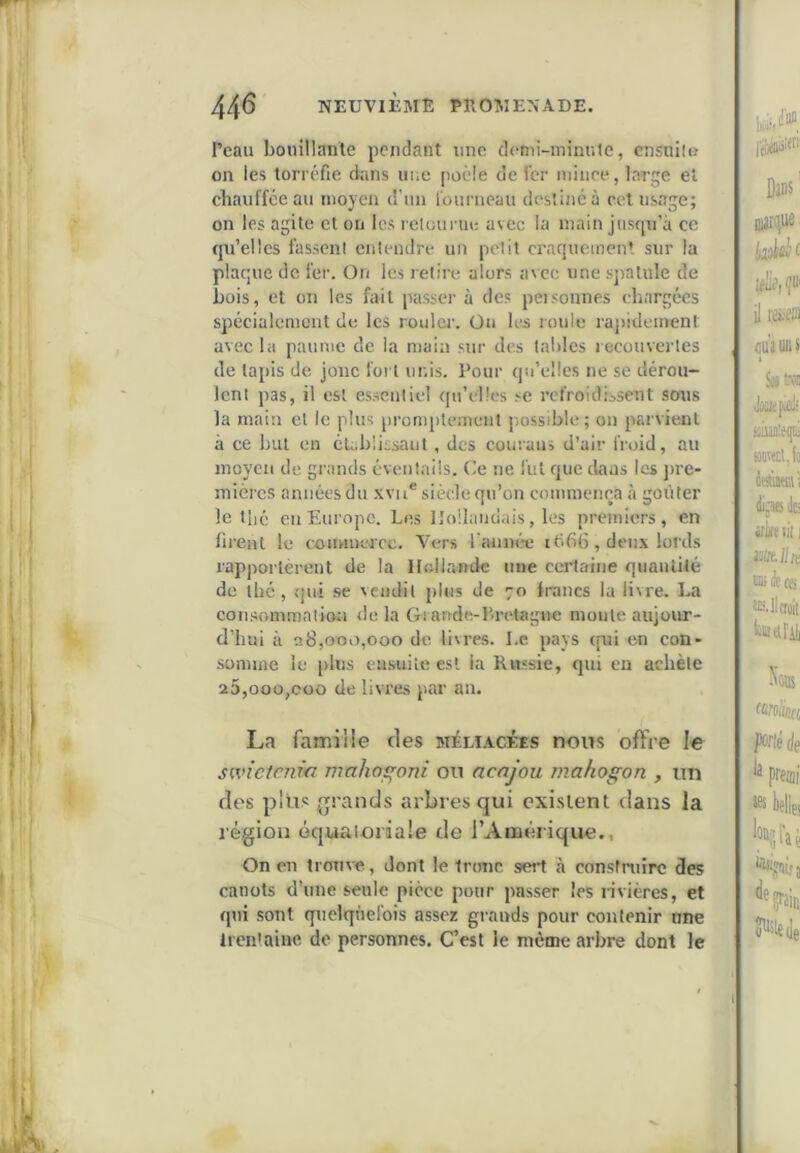 l’eau bouillante pendant une dcmii-minule, cnsnile on les torréfie dans une poêle de 1er niiiiee, large et cliaul'fccau moyen d’mi lourneau destine à cet usage; on les agite et on les retourne avec la main jusqu’à ce fju’elles fassent entendre un petit craquement sur la plaque de fer. On les retire alors avec une sjialule de bois, et on les fait passer à des peisonnes chargées spécialement de les roulcj'. Ou ka roule rajiidement avec la paume de la main sur des tables recouvertes de lapis de jonc fort unis. Pour qu’elles ne se dérou- lent pas, il est essentiel qu’elles .“^e refroidissent sous la main et le plus promptement possible; on parvient à ce but en établissant, des couraus d’air froid, au moyen de grands éventails. Ce ne fut que dans les jire- mières années du xvu® siècle qu’on commença à goûter le tlié eu Europe. Les Hollandais, les premiers, en lii'ent le counnercc. Vers l'annén; léifiG, deux lords rapportèrent de la ILdlande une certaine quantité de thé , qui se vendit jjIus de 70 francs la livre. La consommation delà Grande-Lrelagive moule aujour- d’hui à 28,000,000 de livres. Le pays c[ui en con- somme le plus ensuite est la Russie, qui eu achète 25,000,000 de livres par au. La famiüe des méliacées nous offre le smctcnm mahos^oni ou acajou mahogon , un des plus rands arbres qui existent dans la région équatoriale do l’Amérique., On en trouve, dont le tronc sei’t à constniirc des canots d’une seule pièce pour passer les n'vières, et qui sont quelquefois assez grands pour contenir iine Ircntaine de personnes. C’est le même arbre dont le