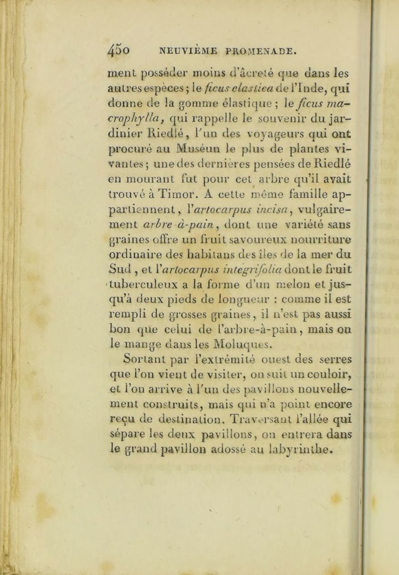ment posséder moins d’ûcreté cjue dans les autres espèces ; le ficus clasùca de l’I nde, C£ui donne de la gomme élastique ; le ficus ma- crophylla, qui rappelle le souvenir du jar- dinier Riedlé, l^in des voyageurs qui ont procuré au Muséun le plus de plantes vi- vantes ; une des dernières pensées de Riedlé en mourant fut pour cet arbre qu’il avait trouvé à Timor. A cette même famille ap- partiennent, Vartocarpus incisa^ vulgaire- ment arbre à-pain^ dont une variété sans graines offre un fruit savoureux nourriture ordinaire des habitaus des îles de la mer du Sud , et Vartocarpus integrifolia dont le fruit 'tuberculeux a la forme d’un melon et jus- qu’à deux pieds de longueur : comme il est rempli de grosses graines, il n’est pas aussi bon que celui de l’arbre-à-pain, mais ou le mange dans les Moluques. Sortant par l’extrémité ouest des serres que l’on vient de visiter, on suit un couloir, et l’on arrive à run des pavillons nouvelle- ment consti’uits, mais qui n’a point encore reçu de destination. Traversant l’allée qui sépare les deux pavillons, on entrera dans le grand pavillon adossé au labyrûitbe.