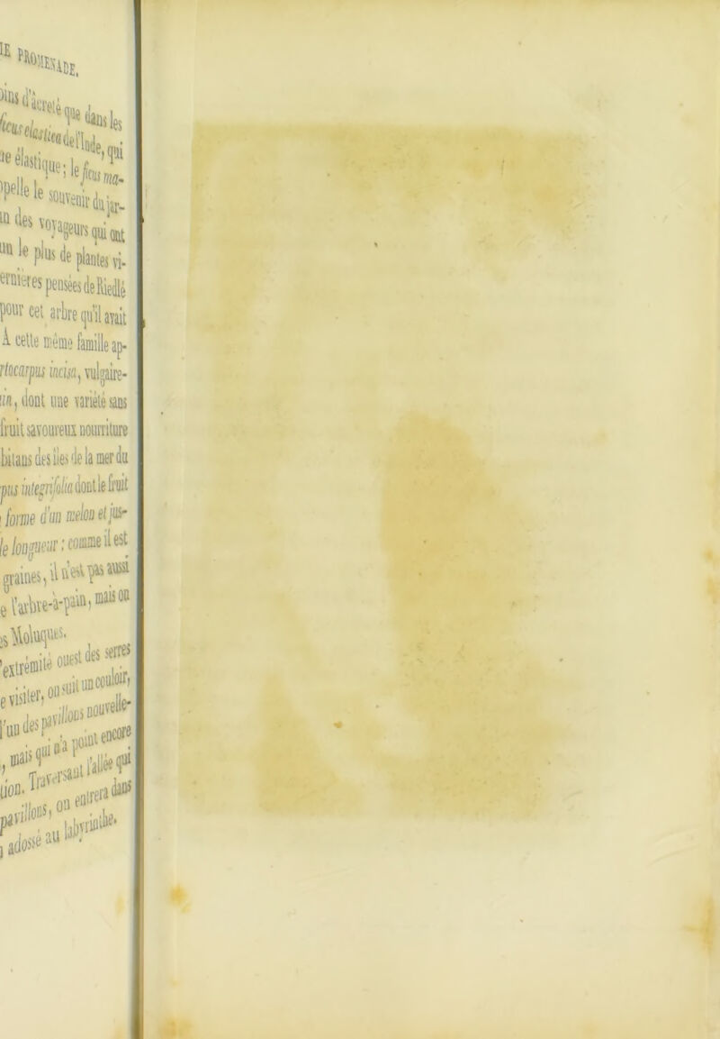 '^‘«plu^deplaDleJvi. ^fweres pensées deRieii pour cet arbre (ju'il ayait A celle irèiiio famille ap. r/of3fpiüwciifl,\'ulgam- M,iioDl une vaiièlésaDS ImiiavouveuiDoimilure bilans des lies'Je la mer du j)iis iule^riféa aoüilii'ét ! /ûi'fflf d'un ffiffon k loop(‘i^ • il est graines, il ei’ai'bve-ol'®)““®