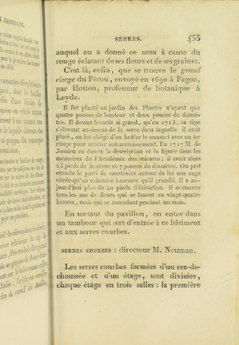 SÉTIRES. 50113 le vient pour la ff> iS3li; '■«DiXïEsoSiejtluje.j.j |f'^ JoDi !es fstiiUes ifoK d’une dizdne de 'Püiees en snitale autour raent a son scininei uue U de lâijuelle seièvenl des en grappes. On renairpie ïïdntiisim, es élroiles et krèa 3e m?' ittes par te ioJisèns te te i f( pir r / *^ r-' 43t> auquel on a rlonné ce nom à cause du rouge éclaiaiit deses fleurs eide ses giaines. C’est là, enfin, que se trouve le grand cierge du Pérou , envoyé on ^Cgo à Fagon, par Holton, professeur de botanique à Leyde. Il fut ]ilanté an jardin des Plantes n’ayant que quatre pouces de liautcur et deux pouces de dianiè- Ire. Il devint !)ie:ilol si grand, qu’eu 1713 , sa tige s’élevant au-dessus de la séri e dans laquelle il était placé, on fut uhiigé d’en brûler le sommet avec un 1er rouge pour arrêter son accruissemeiit. En 1717 M. de Jussieu eu donna la descriiïtion et la figure dans les mémoires de l Académie des sciences; il avait alors ii3 pieds de Iruiteur et 7 jiauces de diamètre. On jirit ensuite le parti de construire autour de lui une cage vitrée qu’on exliausse à mesure (lu’i! grandit. Il a au- jourd’hui jihis de .^|0 pieds d’élévation. Il se couvre tous les ans do ilenrs (|ui se fanent en vingt-quatre licures, mais qui se succèdent pendant un mois. En sortant du pavillon, on entre dans un tambour qui reri d’entrée .à ce Ijâliment et aux serres couiites. sEKEEs COURTES t directeur M. Ncuman. Les serres courbes formées d’uu rez-de- chaussée et a’un étage, sont divisées , ciiaque étage en trois salles : la première