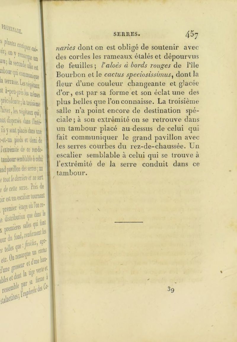 narîes dont on est obligé de soutenir avec des cordes les rameaux étalés et dépourvus de feuilles ; Valocs à bords rouges de l’île Bourbon et le cactus speciosissimus, dont la fleur d’une couleur changeante et glacée d’or, est par sa forme et son éclat une des plus belles que l’on connaisse. La troisième salle n’a point encore de destination spé- ciale; à son extrémité on se retrouve dans un tambour placé au dessus de celui qui fait communiquer le grand pavillon avec les serres courbes du rez-de-chaussée. Un escalier semblable à celui qui se trouve à l’exti-émité de la serre conduit dans ce tambour. 39