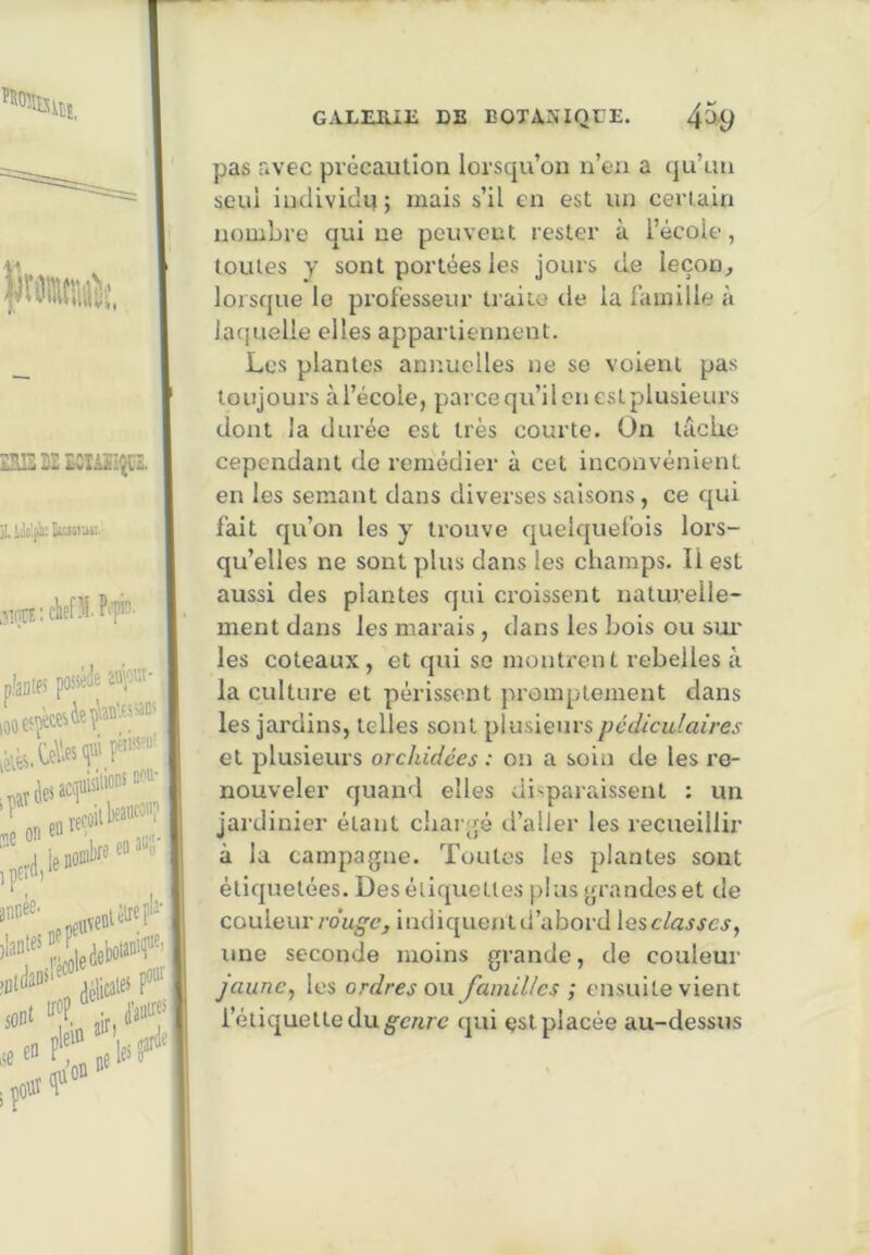 pas avec précaution lorsqu’on n’en a qu’un seul individu; mais s’il en est un certain nombre qui ne peuvent rester à l’école, toutes Y sont portées les jours de leçon^ lorsque le professeur traite de la famille à iacpielle elles appartiennent. Les plantes annuelles ne se voient pas toujours àl’école, pai ce qu’il en est plusieurs dont la durée est très courte. On tucUe cependant de remédier à cet inconvénient en les semant dans diverses saisons , ce qui fait qu’on les y trouve quelquefois lors- qu’elles ne sont plus dans les champs. Il est aussi des plantes qui croissent naturelle- ment dans les marais, dans les bois ou sur les coteaux, et qui sc montrent rebelles à la cultiu’e et périssent promptement dans les jardins, telles sont plusieurs pédiculaires et plusieurs orchidées : on a soin de les l’e- nouveler quand elles disparaissent ; un jardinier étant cliar.qé d’aller les recueillir à la campagne. Toutes les plantes sont étiquetées. Des étiquettes plus grandes et de couleur indiquentd’abord lesc/ajjcj, une seconde moins grande, de couleur jaune, les ordres ou familles ; ensuite vient l’étiquette du qui çst placée au-dessus