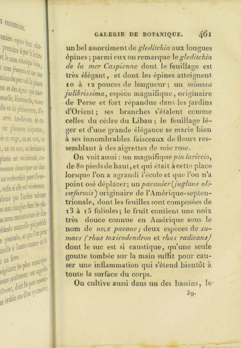 iI)E, “«««IW. '^'°“^P«woulapbte iwc. Au-dfî'OUi (ia cf< sur pliisieuK èii(j!ie!iei, kaim^CjOnenmi, en i,ou ennoir,elile!iiQ;e!i plante est ài!!ciiiùk,m- morne (sWectei'ctkpotiefeme’ ,enHn si elle est mme. ijBjllIolK»» . 5, ' ““ '‘'^1 nliis'reina'f ■ létauxP ,nrfrl« re|j irofls ableo'i J»?'**'’ I GALEUIE DE BOTANIQUE. 4^^^ un bel assorlinient de gleditdda aux longues épines ; parmi eux on remai’que \eglecUtchia de la mer Caspienne dont le feuillage est très élégant, et dont les épines atteignent 10 à 12 pouces de longueur; un mimosa julibrissima^ espèce niagnificjue , originaire de Perse et fort répandue dans les jardins d’Orient; ses branches s’étalent comme celles du cèdre du Liban ; le feuillage lé- ger et d’une grande élégance se marie bien à ses innombrables faisceaux de fleurs res- semblant à des aigrettes de soie rose. On voit aussi: un magnifir{ue/5i’«/c/'fccfo, de 8o piedsde haut,et qui était àcette place lorsque l’on a agrandi l’école et que l’on n’a point osé déplacer; un pacanierijuglans oli-' vœformis') originaire de l’Amérique-septen- trionale, dont les feuilles sont composées de i3 à i5 folioles; le fruit contient une noix très douce connue en Amérique sous le nom de no\x pacanc; deux espèces de su- macs (rhiis toxicodendron et rlius radicansj dont le suc est si caustique, qu’une seule goutte tombée sur la main suffit pour cau- ser une inflammation qui s’étend bientôt à toute la surface du corps. On cultive aussi dans un des bassins, le- 3g.