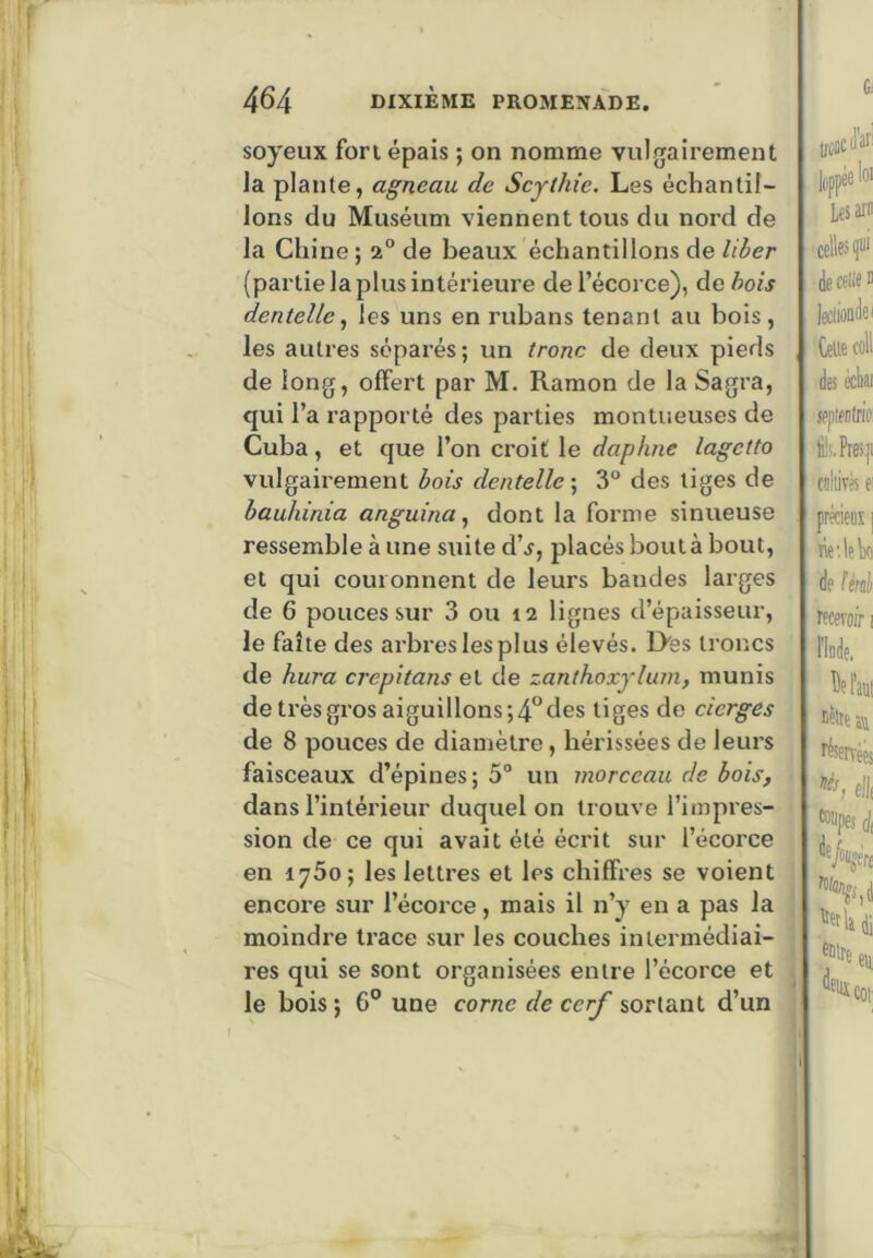 soyeux fori épais ; on nomme vulgairement la plante, agneau de Scjthic. Les échantil- lons du Muséum viennent tous du nord de la Chine ; 2“ de beaux échantillons de liber (partie la plus intérieui’e de l’écorce), de bois dentelle^ les uns en rubans tenant au bois, les autres séparés; un tronc de deux pieds de long, offert par M. Ramon de la Sagra, qui l’a rapporté des parties montueuses de Cuba, et que l’on croit le daphne lagetto vulgairement bois dentelle \ 3° des tiges de bauhinia anguina, dont la forme sinueuse ressemble à une suite d’^, placés bout à bout, et qui couronnent de leurs bandes larges de 6 pouces sur 3 ou 12 lignes d’épaisseur, le faîte des arbres les plus élevés. Des troncs de hura crephans et de zanthoxylum, munis de très gros aiguillons; 4° des liges de cierges de 8 pouces de diamètre, hérissées de leurs faisceaux d’épines; 5° un morceau de bois, dans l’intérieur duquel on trouve l’impres- sion de ce qui avait été écrit sur l’écorce en lyôo; les lettres et les chiffres se voient encox’e sur l’écorce, mais il n’y en a pas la moindre trace sur les couches intermédiai- res qui se sont organisées entre l’écorce et le bois ; 6° une corne de cerf sortant d’un Gi loppée loi Lesarn cellf s âecfW” ledioiiiiel Celle coll des ecki sepifnlrio: i!s,Pre>p cultivés ei précieux | rie: le k de téni recevoir i l’We, Defam nèlre ai réservées ■ elli toiipes (/( di foire en I 4 - ^ • f