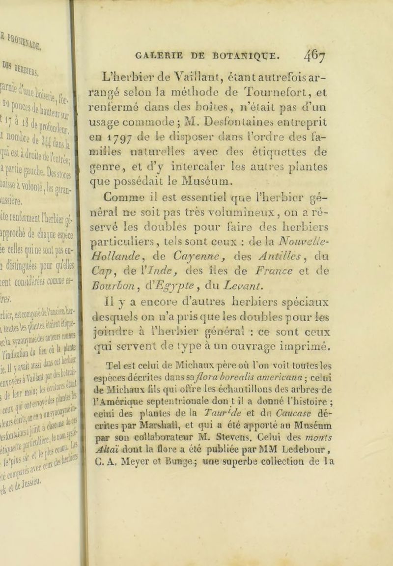 Dis Prnied’i 10 ^“«“W-deddidansli 'liiesiadrûitedel’enit^. ! ^P^'liegaiidie.Deisiorei, M'iiOivoloDiéilKjiran- l'assière. lilerenfermeDi l'herbier jé-1 îpprocbé de cbaijoe espèce 1 le celles ([iii ne soat pas et- 3 distinguées pour (pu'elles ient considérées corne es- m riier.JitœmîOie ttkssïonyoieteattfmw® „o fl iktc leséoalïW^’j!' leiioiad^^ 'lé COC’P^ L’herbier de Vaillant, étant autrefois ar- ranpjé selon la méthode de Tournefort, et renfermé dans des boîtes, n’élait pas d’un usage commode ; M. Desfbntaines entreprit en 1797 de le disjioser dans l’ordre des fa- milles naturelles avec des étirpuettes de genre, et d’y intercaler les autres plantes que possédait le Muséum. Comme il est essentiel que l’herbier gé- néral ne soit pas très volumineux, on a ré- servé les doubles pour faire des herbiers piarliculiers, tels sont ceux : de la Nouvelle- Hollande, de Cayenne, des Antilles^ du Cap^ de {'Inde, des îles de France et <!e Bourbon, d'Egypte, d\i Louant. Il y a encore d’autres herbiei’s spéciaux desquels on n’a pu is que les doubles pour les joindre à l’herliier général : ce sent ceux qui servent de type à un ouvrage imprimé. Tel est celui de Miciianx père où l'on voit toutes les espèces décrites dans saflora horealis americana ; celui de Michaux ûls qui offre les échantillons des arbres de l’Américnie septentrionale don t il a donné l’iiistoire ; celui des plantes de la Taur^cle et dn Caucase dé- mles par Marshall, et qui a été apporté au Muséum par son collaborateur M. Stevens. Celui des monts Altaï dont la flore a été publiée par MM Ledebour, C. A. Meyer et Bunje; une superbe collection de la