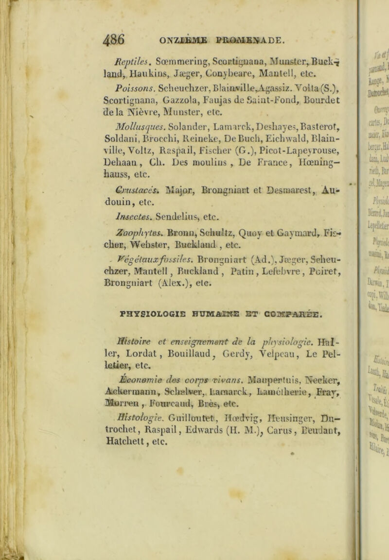 48j6 ONZJBÂMJK PaûAiBSADE. Reptiles. Sœmmering, Scortiipiana, MuiiBler, Buck-t laüd, Haiikins, Jæger, Conjbeare, Mautell, etc. Poissons. Sclieuchzer, BlaituvilltvVgassiz. Voila (S.), Scortlgnana, Gazzola, Faujas de Saiat-Fond, Bourdet delà Nièvre, Munster, etc. Mollusques. Solander, Lamarck,Desliayes,Basteror, Soldani, Erocchi, Reineke, DeBucli, Eichwald, Blain- ville, Voltz, Raspail, Fischer (G.), Picot-Lapeyrouse, üehaau, Ch. Des moulius , De France, Hœning— hauss, etc. Gi-usiaoés, Major, Brongaiart et Desraarcst, Au- douin, etc. Insectes. Sendelius, etc. Zûophytes-. Broun, Schultz, Quoy et Gaymard, Fis- cher, Webster, Bucklaud , etc. Vègélauxfiissiles. Brongniait (Ad.}, Jæger,Seheu- chzer, Mantell, Buckland , Patin, Lefebvre, Pcii’et, Brongaiart (Alex.), etc. PHYSIOLOGIE HirniâilIfS ST COiaCPAHÉE. Histoire et enseignement de la physiologie. Hal- ler, Lordat, Bouillaud, Gerdy, Velpeau, Le Pel- letier, etc. Éconemie d^s corpe Tioans. Maaperliiis, Necker, Ackorniann, Schslwer,. Lamarck, kaiiiétherie, Bray, IHurren Fourcaiid, Brès> etc. Histologie. Gihllcnitet', Hiedvig, lîensinger, Dn- trochet, Raspail, Edwards (H. M.), Carus, Beudant, Hatchett, etc. \