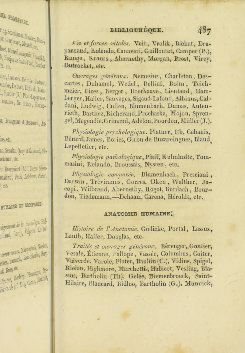 BIBJUO'EHlîQOS. “■““«.K. '*®''.Lannrcli,i)j,L „ ‘’ff^^P.l.fcl-Lape,ro«ie, BIBJUOfEHiiQOB. 4^7 fie et forces vitales. Veit, Vrolik, Bioliat, Dra- pai’uaud, Kolando,Gaiiavari, Guilloulet, Camper (P.), Baïuge, Krauss , Aburueüiy, IVlorgau, Prost, 'Virey, ■Dutrocluit, etc. Ouvrages généraux. Nemesiiis, Charleton, Des- cartes, Duhamel, Wedel, Pellini, Kohn, Teich- œeier, Fizes, Kergor, Koerlinave, LieutauJ , Ham- herger, Haller, Sauvages, Sigaud-Laiond, AJhiinis, Gal- dani, Jaidwig, Cullcn, Blumenhach, Dumas, Auten- I) BrCMütl 6t ÛHHtti!| in. ’ rielh, Barthez, Richerand,Prochaska, Mojon, Spren- gel,Mageudie,Grimaud,Adelou, Bourdon, Millier (J.). ket BD,S(yii. QiiûvtlGayMijFi:* Kkiaiiii,e4c. 'I, Bron^niart ,'àJ,', Jssr,5éfn- nttlasJ, Pitiiifléim.fcài, ,elc, Physiologie psychologique. Platner, Itb, Cahanis, Bérard, James, Bories, Girou de Buzarcingues, Blaud^ Lepelletier, etc. Physiologie pathologiqueKuhnholtz, Tom- masiui, Rolando, Broussais, Nyslen, etc. Physiologie comparée. Blumenhach, Prcsciani Darwin , Tréviianus , Gorres, Oken , Waltlier, Ja- copi, Wilbraiid, Ahernelhy, Roget, Burdach, Bour- don, Tiedemann,—Dehaan, Caréna, Héroldt, etc. ASATOMIE HEDIAIWE;’ S55S;-‘^' Histoire de VAnatomie. Gœlicke, Portai, Lassus, Laulh, Haller, Douglas, etc. Traités et ouvrages générau.v. Bérenger, Gonlier, Vesale, Étienne, Fallope, Vassée, Columhus, Coïter, Valverde, Varole, Platcr, Baiillin (C.), Vidius, Spigel, Riolan, Highmoi'e, Marchettis, Habicot, Vesling, Bia- sius, Barlholin (Th), Gelée, Diemenbroeck, Saint- Hilaire, Blaucard, Bidloo, Barlholin (G.), Muunick, I