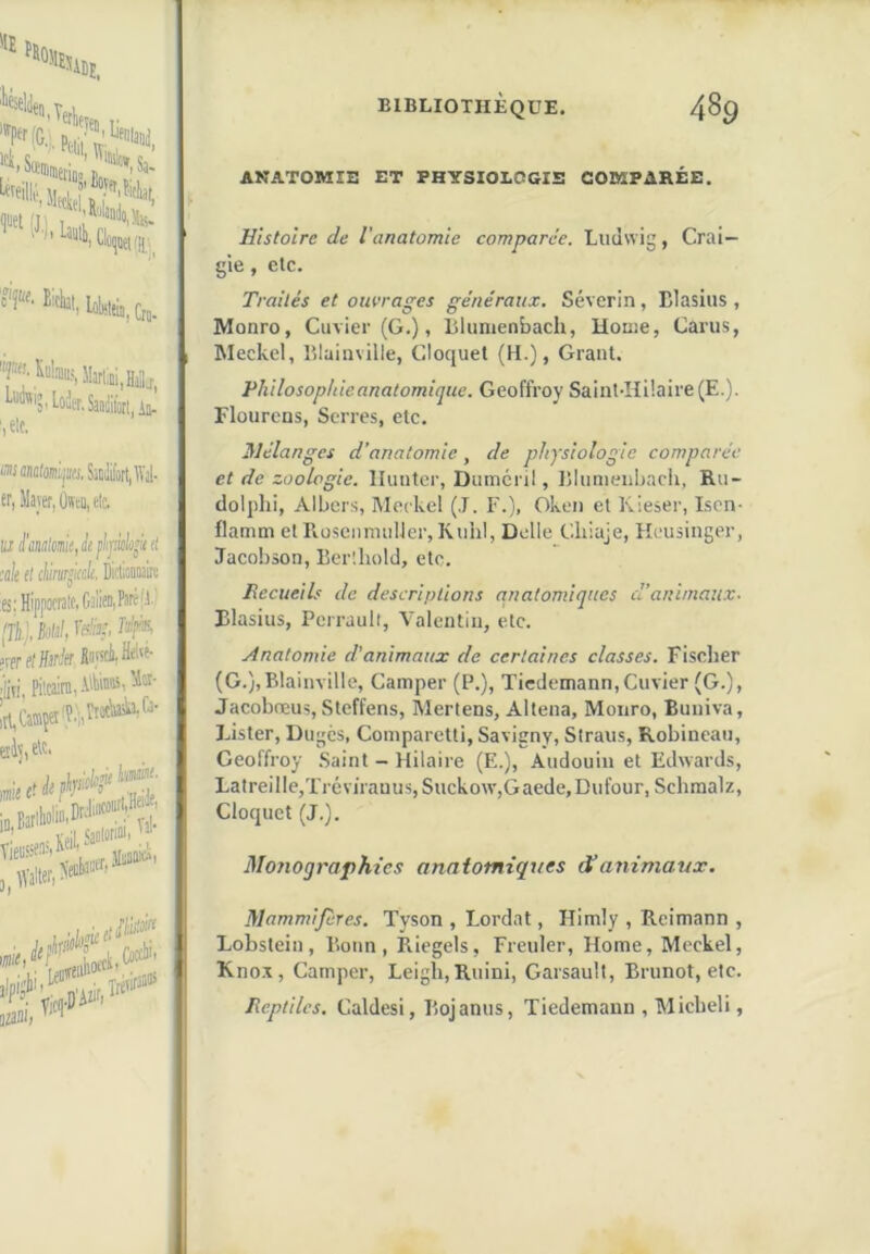 luet (ji Mw. I, Crj. ““iS.loutr.Saailiiott ia. ,clt. WflMteijM,SjCi!iiort,Wal- T, Mayer, Üwtu, tic. •jd'dnalmieiàjilipwli^tfl ah tl cimfceh. Didioaaaire 5;Hippofr3lt.G3ii®iP®'^' Ti.j, Ml, ^<5%. rerdlfiàr fiarrci, Heiré- [iïi, Pilcaini, Ato®i îiv,rtt. Batlliolin>W'“'“'}‘r.|. ffalter, ^ yjc(|.D'AZ‘fi ANATOMIE ET PHYSIOLOGIE COMPARÉE. Histoire de l'anatomie comparée. Ludwig, Crai- gie , etc. Traités et ouvrages généraux. Séverin, Blasius , Monro, Cuvier (G.), Llunienbach, Honre, Carus, Meckcl, Blaiaville, Cloquel (H.), Grant. Philosophie anatomique. Geoffroy Saint-Hüaire (E.). Flourcns, Serres, etc. Mélanges d’anatomie, de physiologie comparée et de zoologie. Iluiitci’, Dumcril, Blunieubacii, Ru- doljdii, Albers, Mecke! (,T. F.), Oken et Kieser, Iscn- flamni et PiosciirmiUer, Kuhl, Dclle Cliiaje, Fïousinger, Jacobson, Bcr'.hold, etc. Recueih de descriptions anatomiques d’animaux. Blasius, Perrault, Valentin, etc. Anatomie d'animaux de certaines classes. Fischer (G.),Blainville, Camper (P.), Tiedemann,Cuvier (G.), Jacobreus, Steffens, Mertens, Altena, Monro, Buiiiva, Lister, Duges, Comparetti, Savigny, Siraus, Robineau, Geoffroy Saint - Hilaire (E.), Audouiu et Edwards, Latreille,Tr6virauus,Suckow,Gaede,Dufour, Scbmalz, Cloquet (J.). Motiographies anatomiques dé animaux. Mammifères. Tyson , Lordat, Himly , Reimann , Lobstein, Bonn, Riegels, Freuler, Home, Meckel, Kno.v, Camper, Leigb, Ruini, Garsault, Brunot, etc. Reptiles. Caldesi, Bojanus, Tiedemann , Micbeli,
