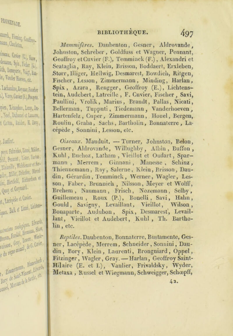“î“»,CliatW, '* le, YaB(lerHMTeD,(ii;, ^ >uuiuüi,fi '•jiVrej.CKktXliPoojtE. ipim,leaoptoa,Lffliy,Du- .,^oe!,Macieitlbmt 1 Ca:ioii, lleiler. H, Dirj, Liciil!«i' [, lacfire'. {fi.l PeDEnl.l.iiltf't“'’® ^QuojelGî!®»'^' i^uei. UluiJf»'’® , jaiie', • BIBLIOTHÈQUE. 4gy mammifères. Daubenlon, Gesner, Alclrovande, Johnston, Schreber, Goldfiiss et Wagner, Pennant, Geoffroy et Cuvier (F.), Temminck (F.), Alexandri et Scataglia, Ray, Klein, Rrisson, Boddaerl, Erxleben, Storr,llligcr, Hellwig, Desmarcst, Bowdicli, Rilgen, Fischer, Lessou, Zimmermann, Minding, Harïan, Spix, Azara, Rengger, Geoffroy (E.), Lichtens- tein, Audebert, Latreille, F, Cuvier, Fischer, Savi, Paulliui, A’rolik, Marius, Brandt, Pallas, Nicati, Bellerman, Tupputi, Tiedemann, Vanderhoeven, Harteufelz , Cnper, Zimmermann, Houel, Bergen, Rouliu, Graba, Sachs, Barlholin, Bounaterre, La- cépède, Sonnini, Lessou, etc. Oiseaux. Mauduit. —Turner, Johnston, Belon, Gesner, Aldrovande, Willughby, Albin, Buffon , Kuhl, lUu'hoz, Latham , 'Vieillot et Oudart, Spar— mann , Merrem , Ginnani , Manesse , Schiuz, Thiennemann, Ray, Salerne, Klein, Brisson, Dau- din, Gérardin , Temminck, Werner, Wagler, Les- son, Faber, Brunnich , Nilsson, Meyer et Wolff, Brehem , Naumann , Frisch, Nozemann, Selby , Guillerneau , Roux (P.), Bonelli, Savi, Hahn, Gould, Savigny, Levaillant, Vieillot, Wilson, Bonaparte, Audubon, Spix, Desmarcst', Levail- lant, Vieillot et Audebert, Kuhl , Th. Barlho- lin , etc. Ae/;A7e^.Daubenton, Bonnaterre, Bustamente, Ges- ner, Lacépède, Merrem, Schneider, Sonnini, Dau- din, Bory, Klein, Laurent!, Brongniard, Oppel, Fiizinger, AVagler, Gray. — Harlan, Geoffroy Saint- Hilaire (E. et I.), Vanlier, Frivaldsky, Wyder, Metaxa , Russel et Wiegmann, Schwcigger, Schœpft, 42.