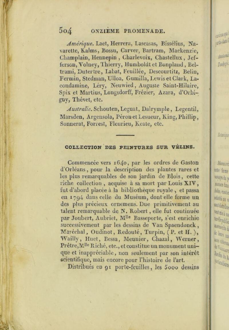 Amérique. Laet, Herrera, Lascasas, Bissélius, Na- varelte, Kalms, Bossu, Carver, Bartram, Mackenzie, Champlain, Hennepin , Charlevoix, Chastellux, Jef- ferson, Volney, Thierry, HuniboldtetBonplaud, Bel- trami, Duterlre, Lahal, Feuillée, Descourlilz, Belin, Fermin, Stedman, Ulloa, Gumilla, Lewis et Clark, La- condamine, Léry, Neuwied, Auguste Saint-Hilaire, Spix et Martius, Longsdorff, Frézier, Azara, d’Orbi- gny, Thévet, etc. Scliouten,Léguât, Dalrymple, Legentil, Marsden, Argensola, Pérou et Lesueur, King,Phillip, Sonnerat, Forrest, Fleurieu, Keate, etc. COLLECTION DES FEIMTÜHES SUR VÉLINS. Commencée vers 1640, par les ordres de Gaston d’Orléans, pour la description des plantes rares et les plus remarquables de sou jardin de Blois, cette riche collection , acquise à sa mort par Louis XIV, fut d’abord placée à la bibliothèque royale , et passa eu 1794 dans celle du Muséum, dont elle forme un des plus précieux ornemeus. Due primitivement au talent remarquable de W. Robert, elle fut continuée par Joubert, Aubriet, M® Basseporte, s’est enrichie successivement par les dessins de Van Spaendonck, Maréchal, Oudinot, Redouté, Turpin, (P. et H. ), Wailly, Huet, Bessa, Meunier, Chazal, Werner, Prêtre,M'i® Riché, etc., et constitue un monument uni- que et inappréciable, non seulement par son intérêt scientifique, mais encore pour l’histoire de l’art. Distribués eu 91 porte-feuilles, les 5ooo dessins